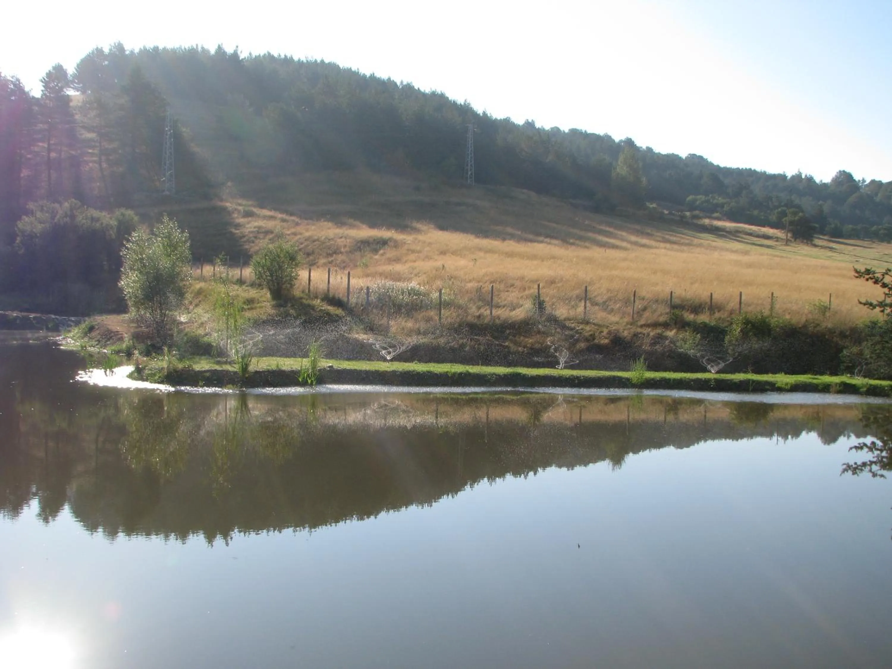 Park Hotel Eagle Stone