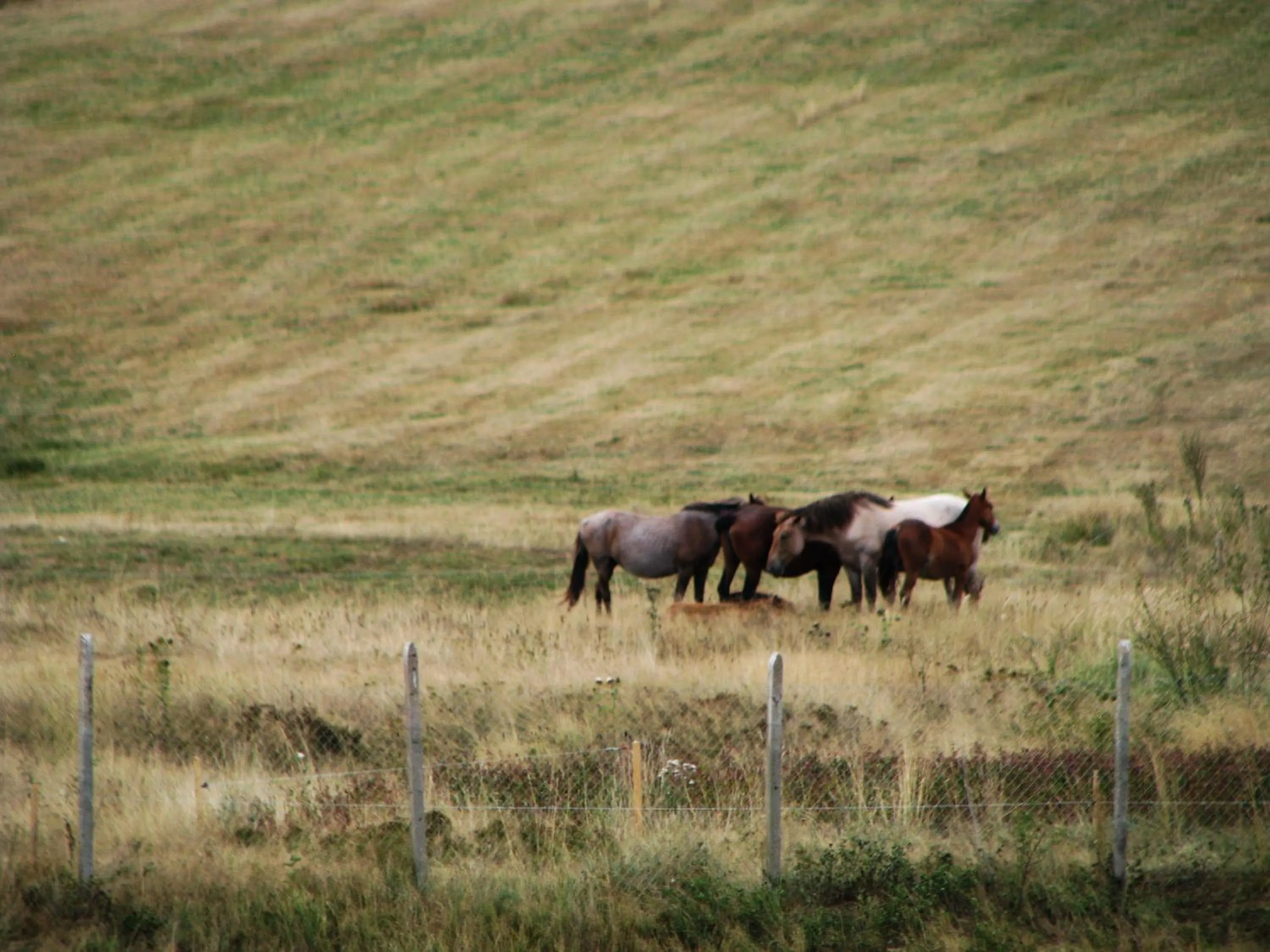 Park Hotel Eagle Stone