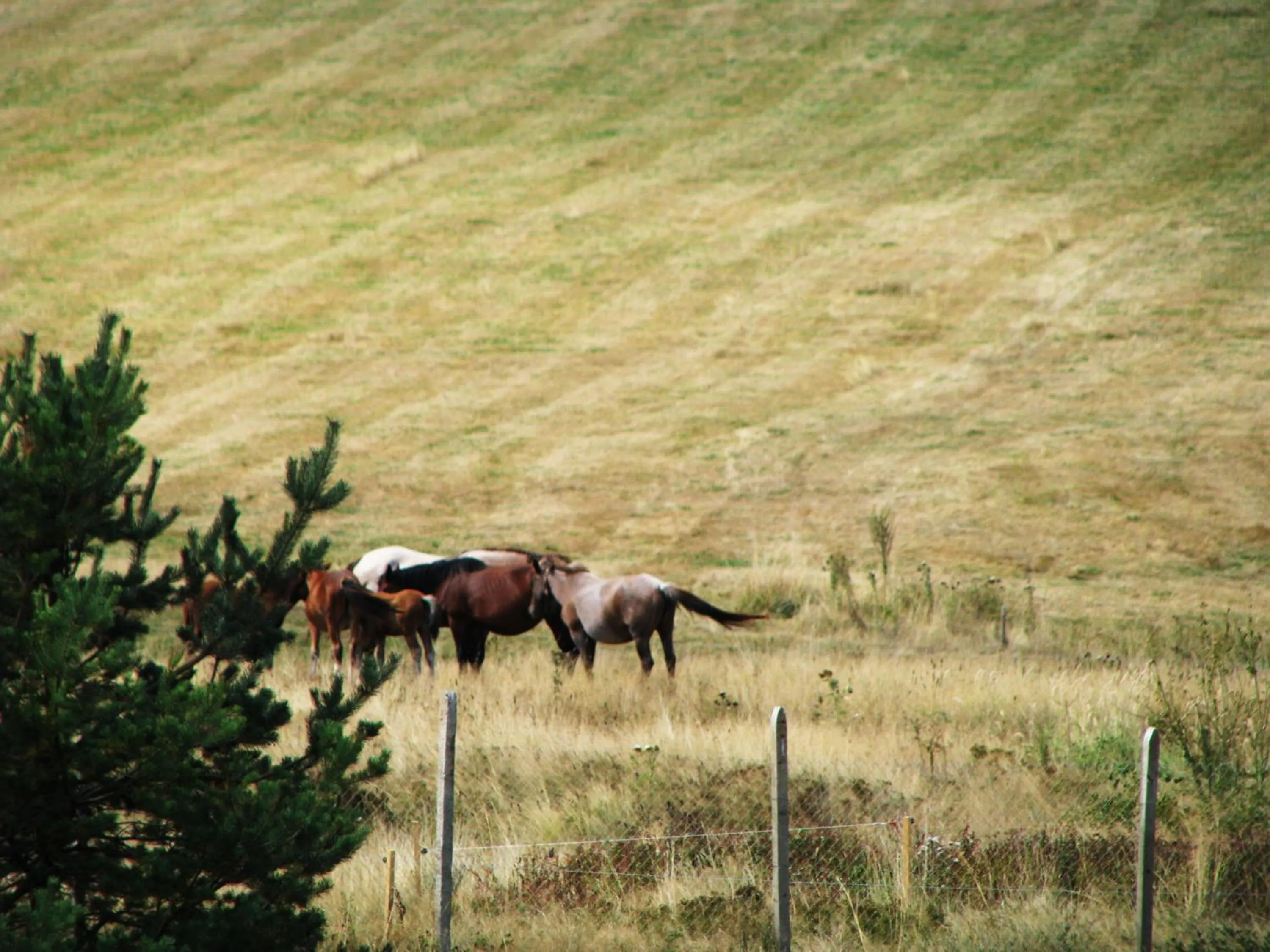 Property building in Park Hotel Eagle Stone