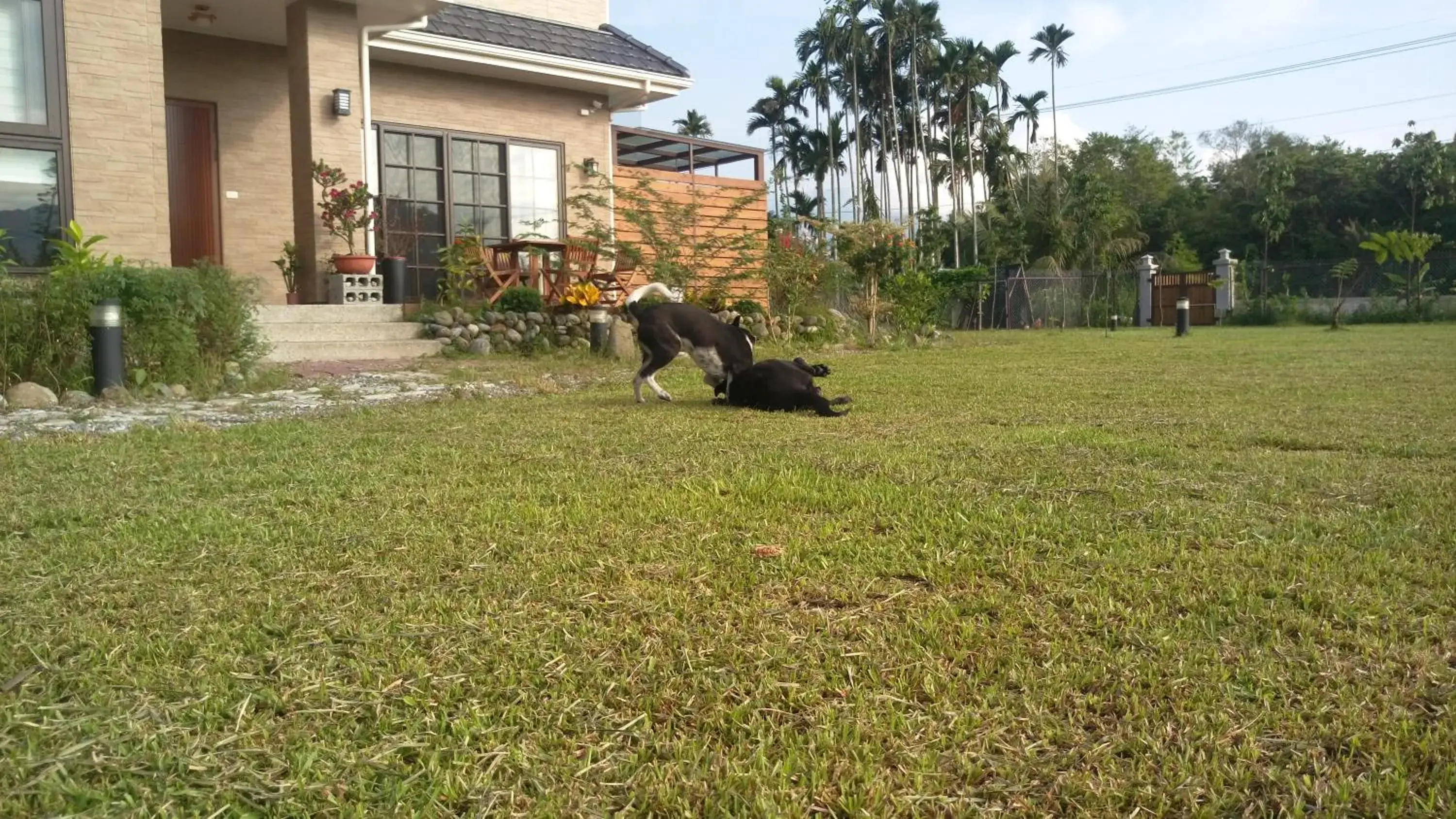 Garden view in Celine's B&B Garden view in Celine's B&B