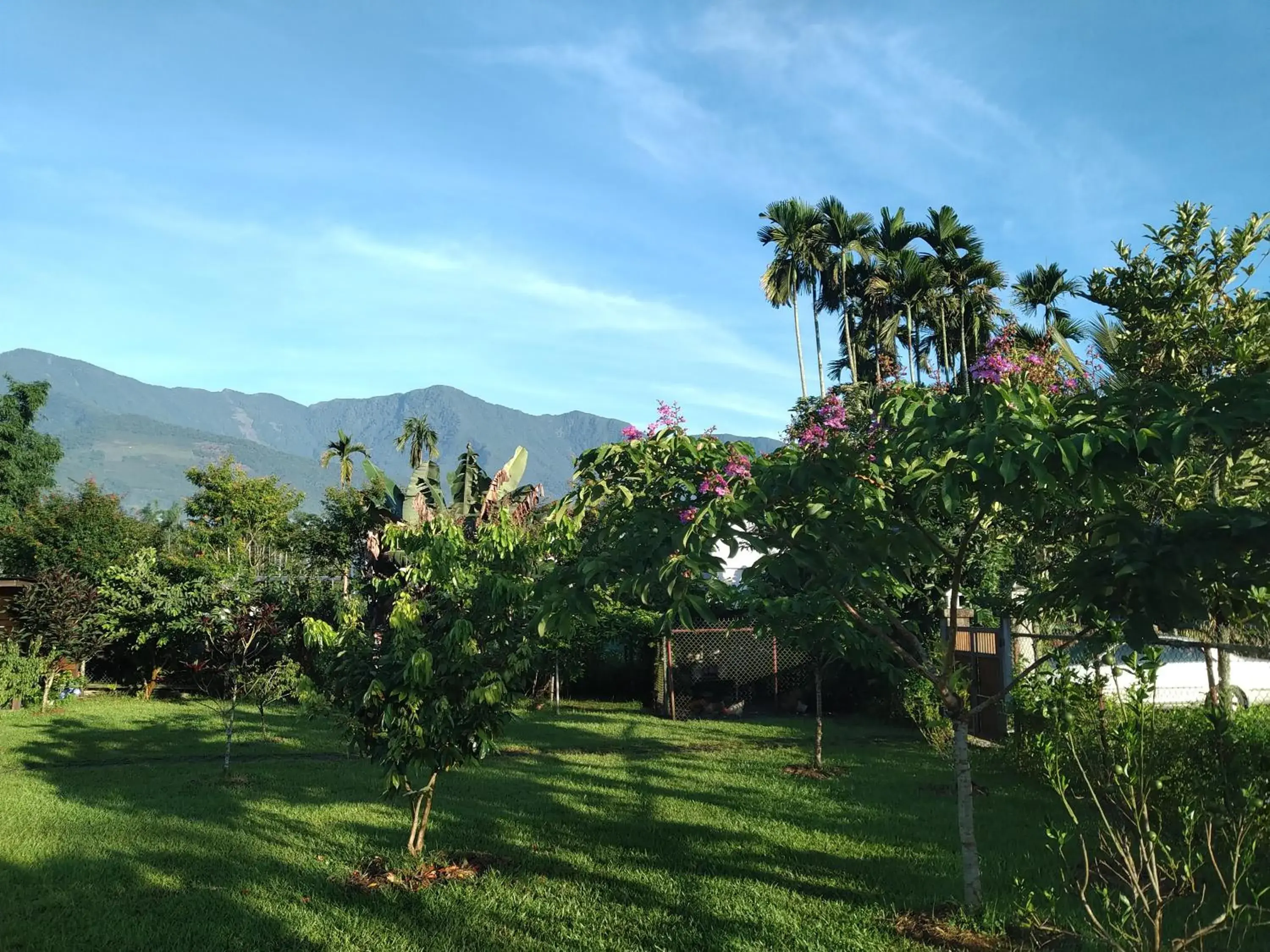 Celine's B&B Celine's B&B