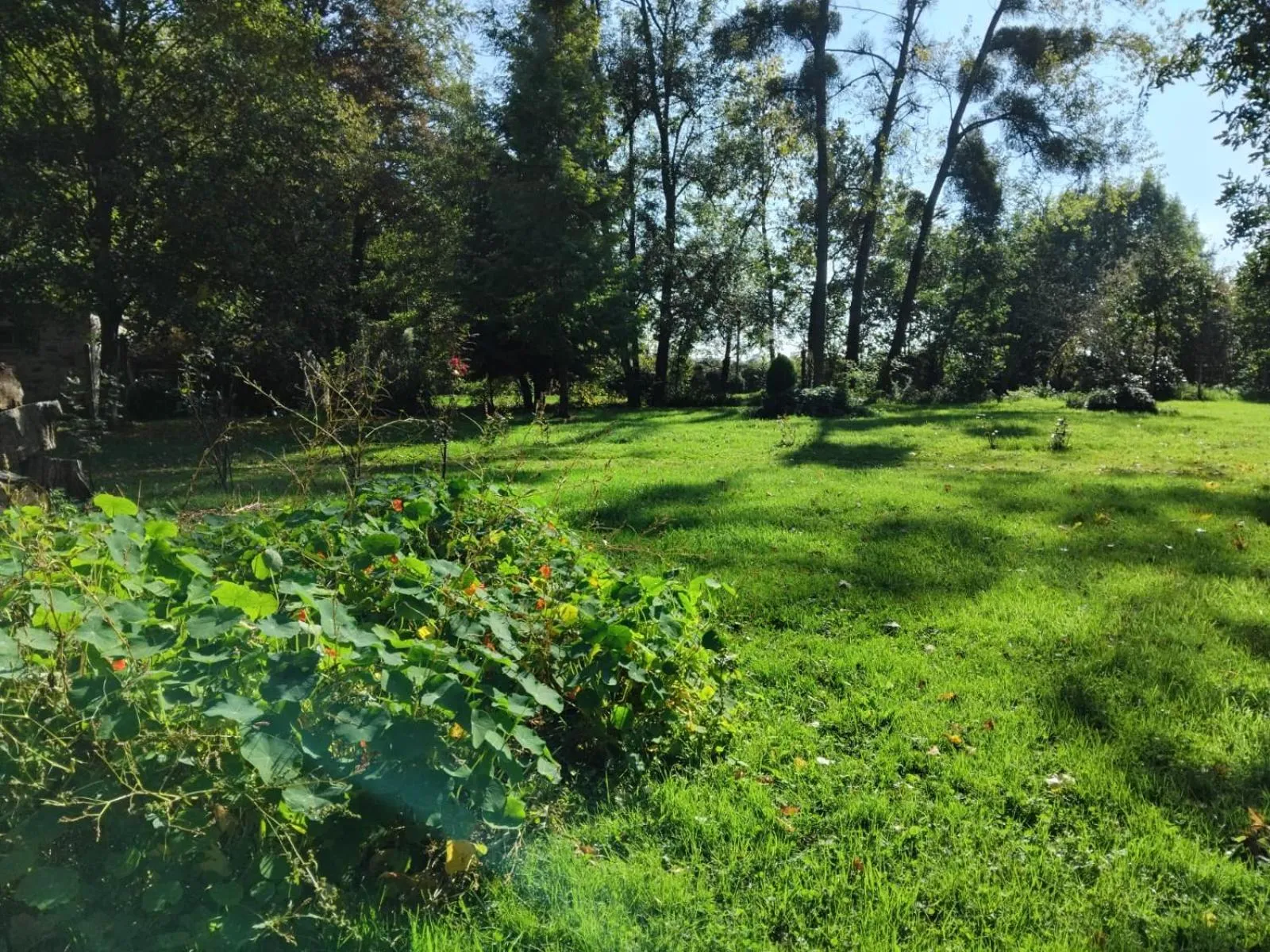 Garden in Gite Le Relais Saint Michel