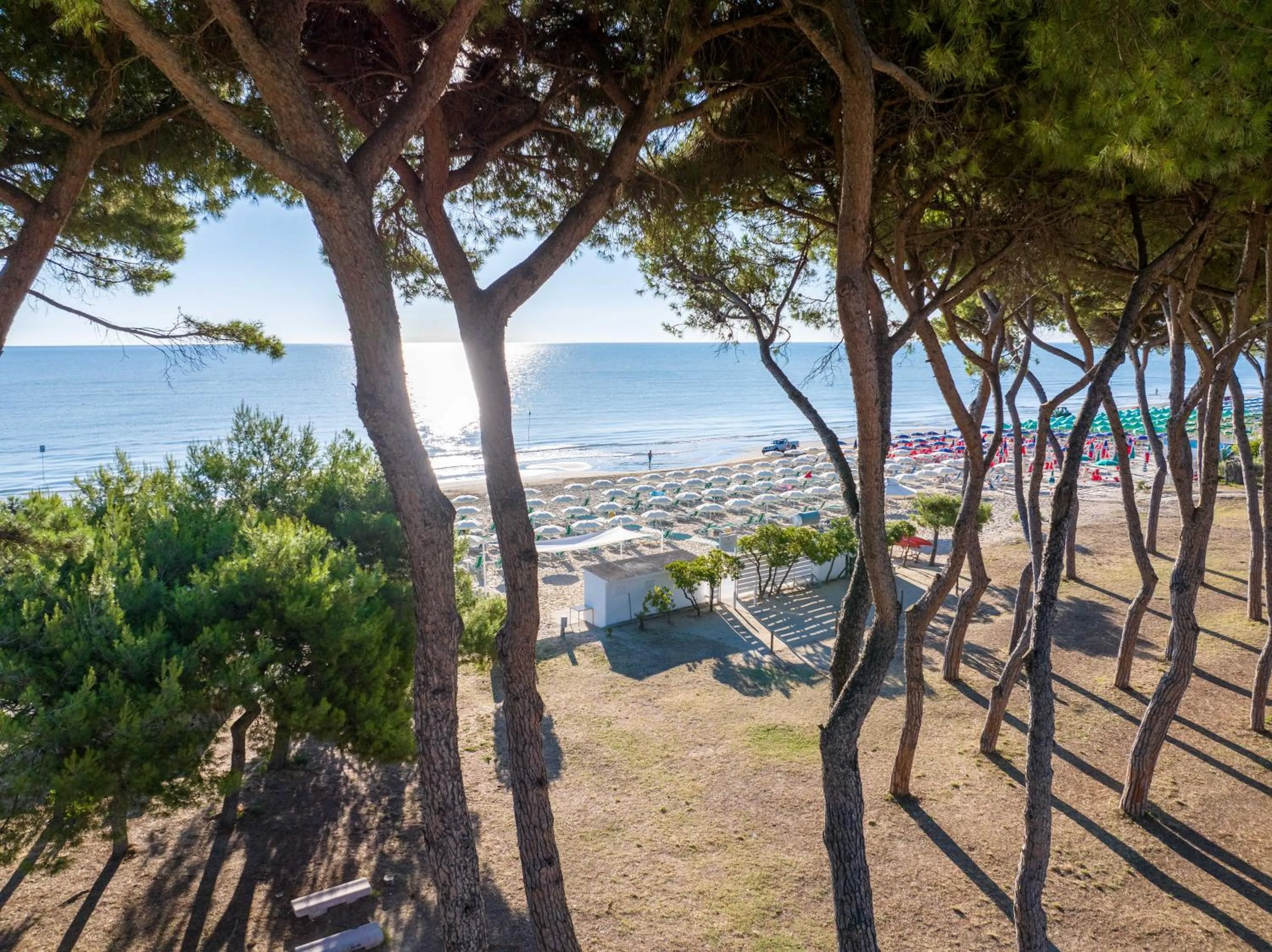 Beach in Hotel La Pineta