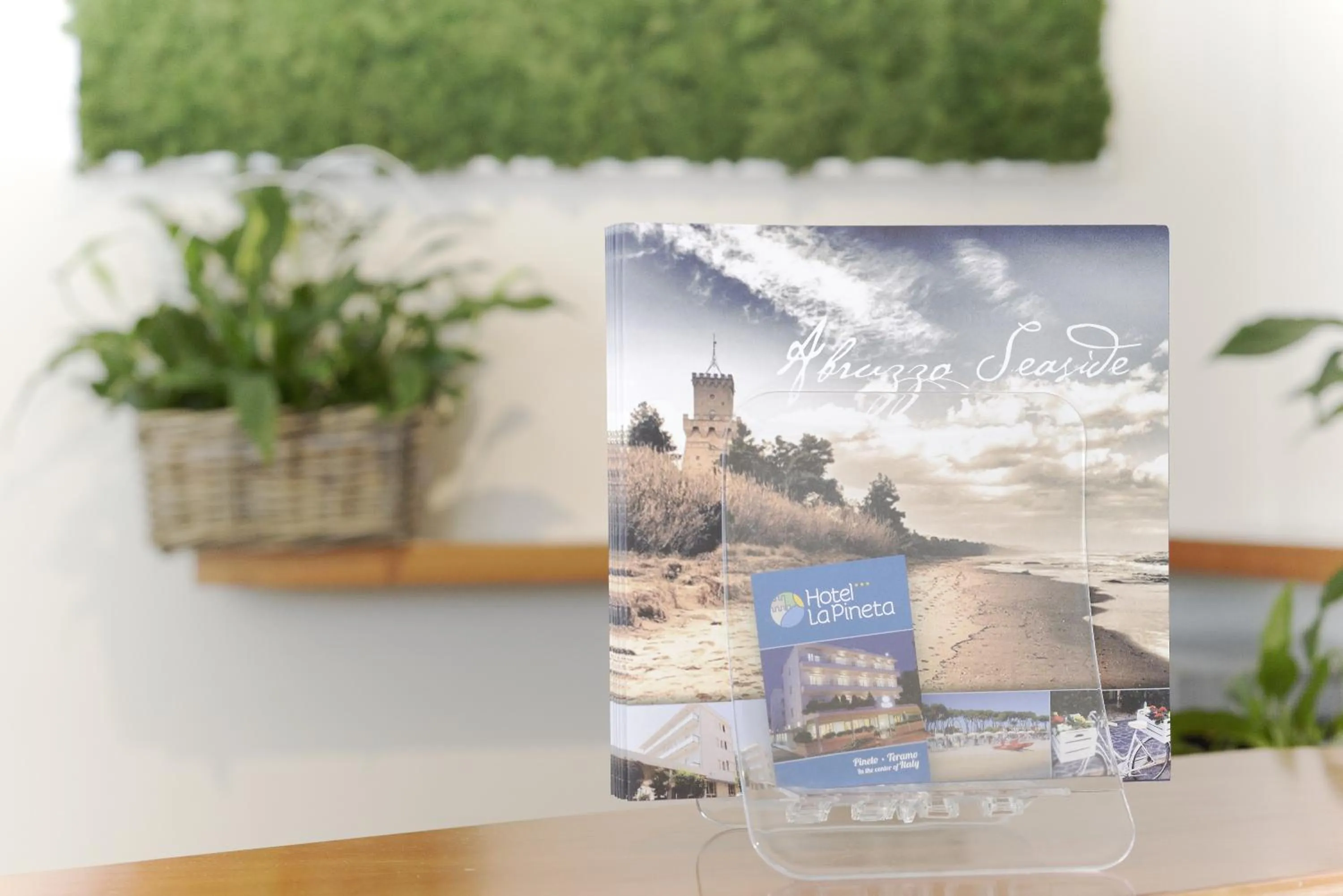 Decorative detail in Hotel La Pineta