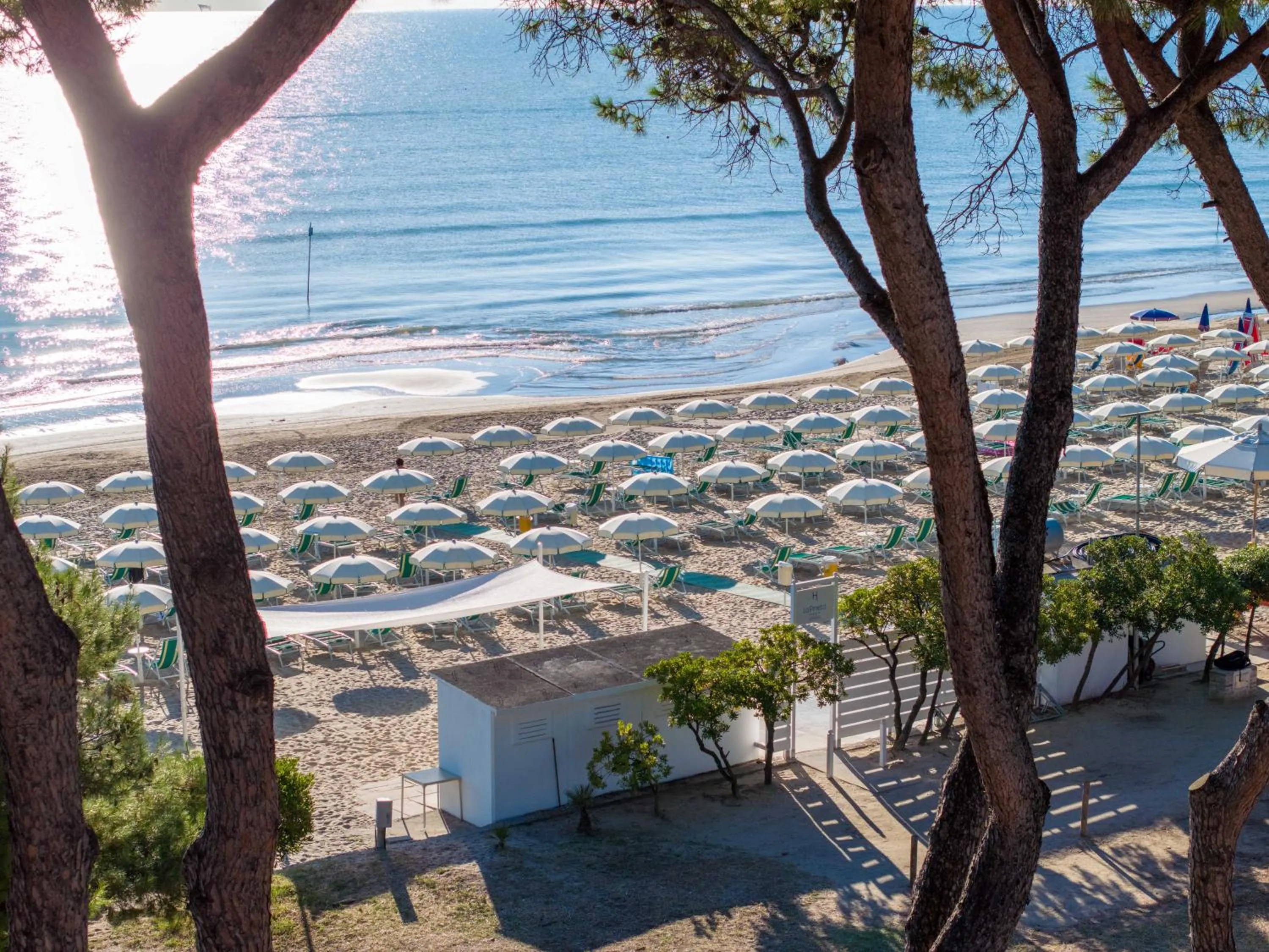 Beach in Hotel La Pineta