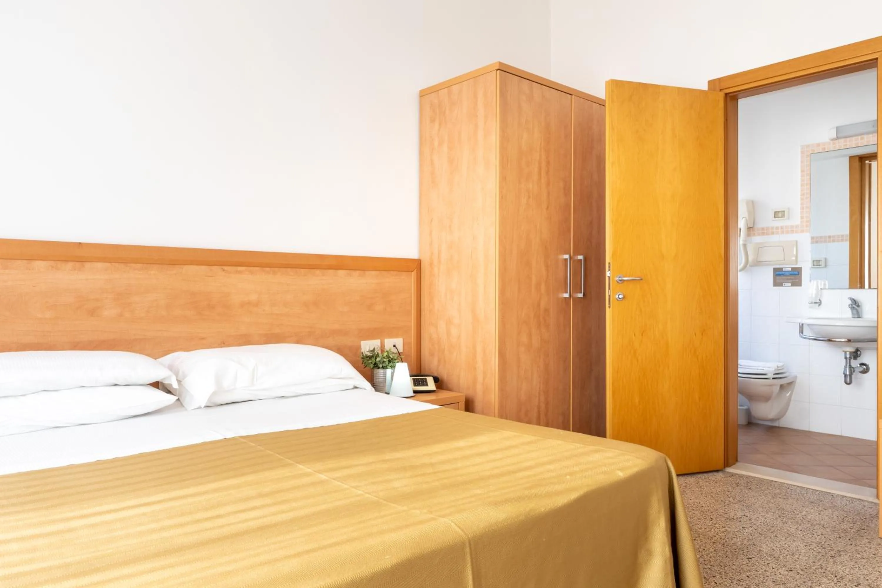 Photo of the whole room in Hotel La Pineta