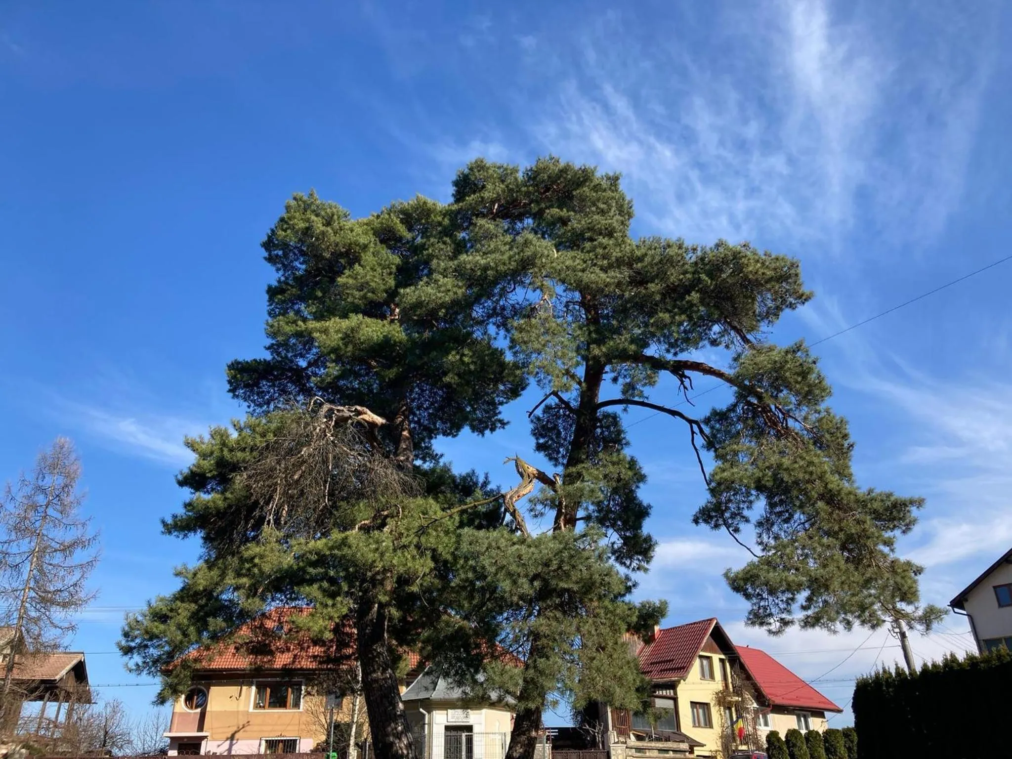 Neighbourhood in The Pines Boutique Villa