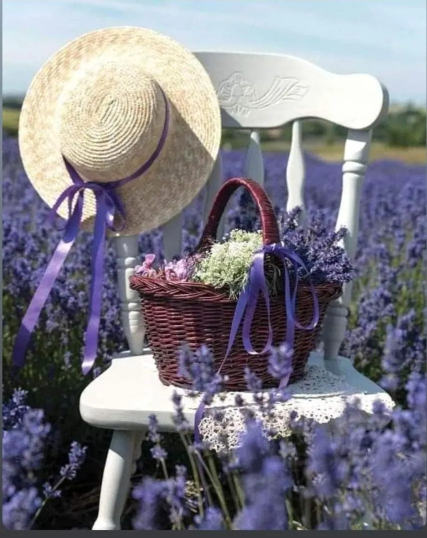 Grange Voutée avec jardin