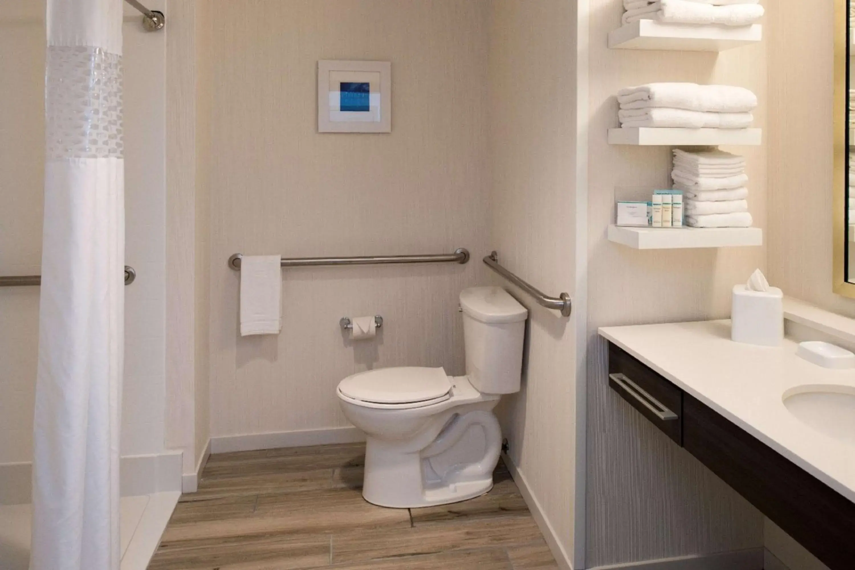 Bathroom in Hampton Inn - Paragould Bathroom in Hampton Inn - Paragould