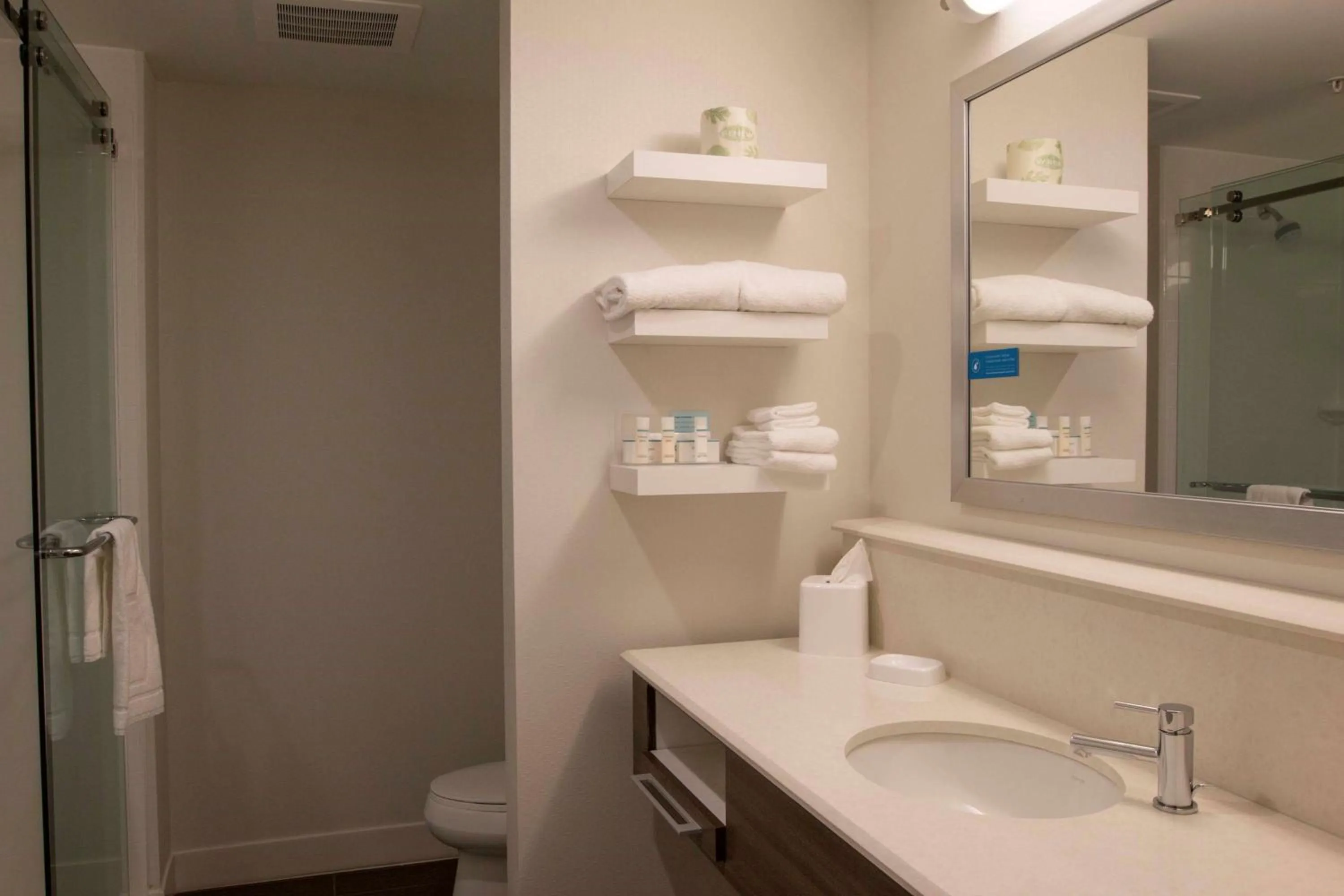 Bathroom in Hampton Inn - Paragould