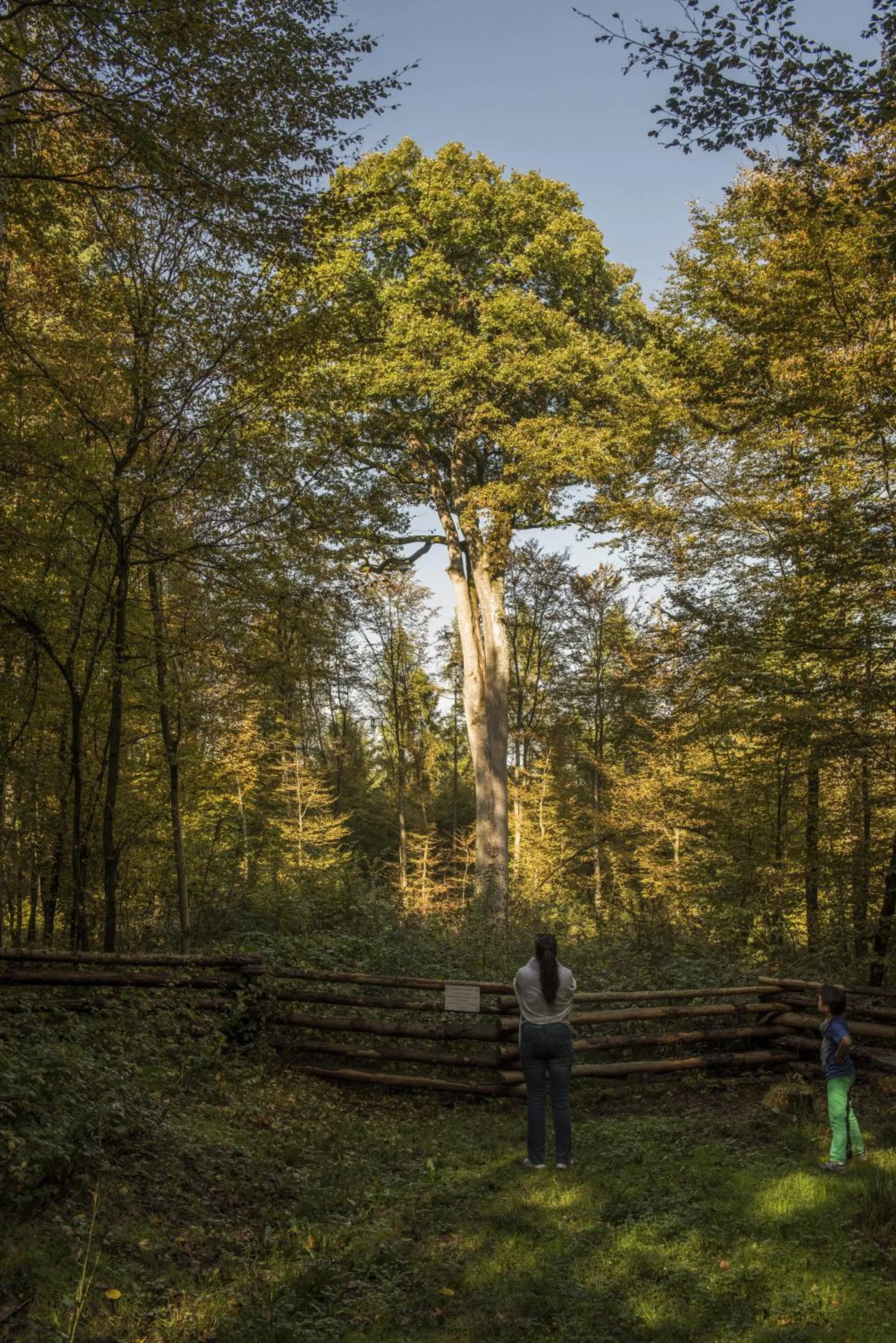 Activities in Hotel Belle Vue