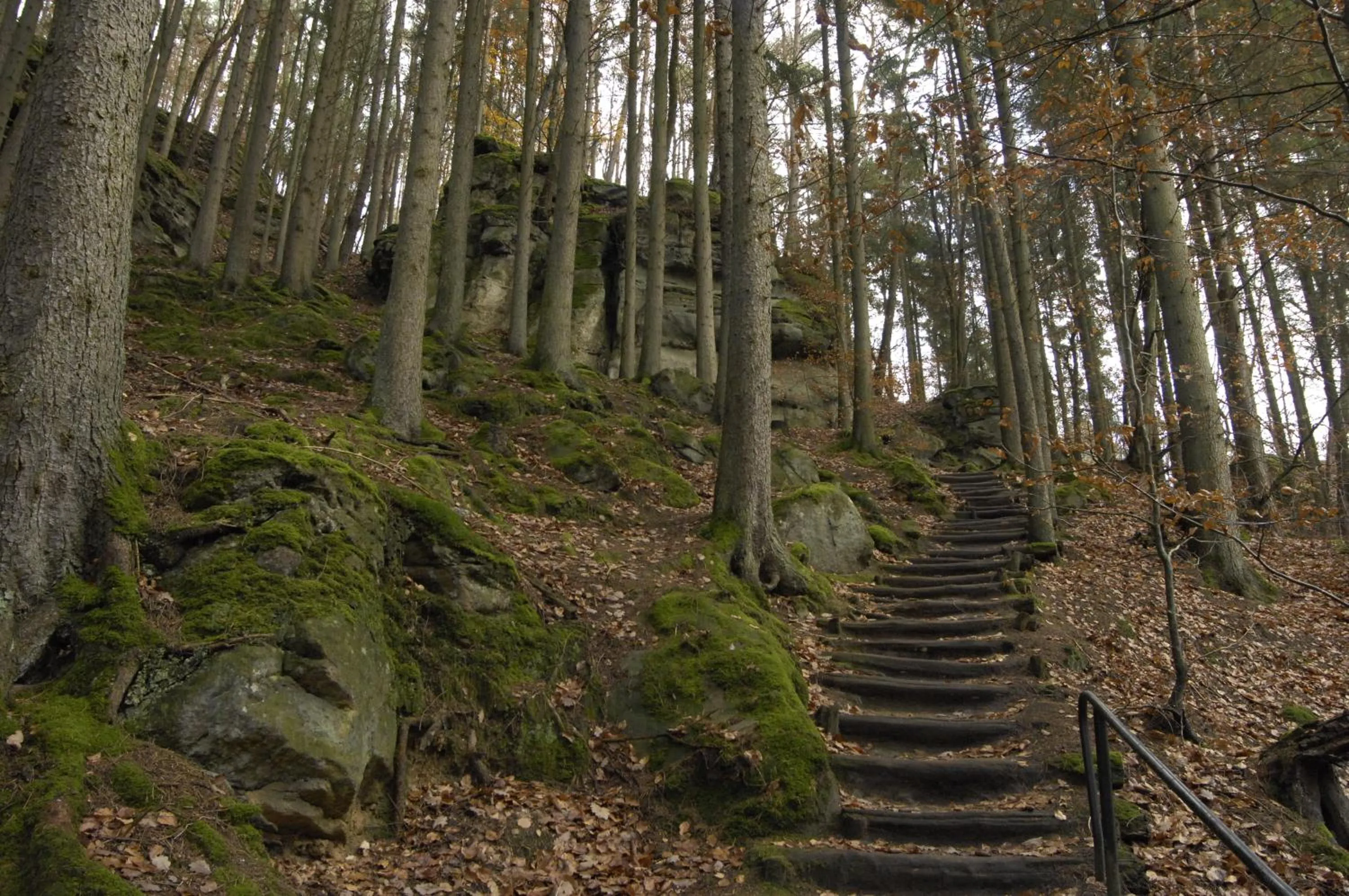 Other in Hotel Belle Vue