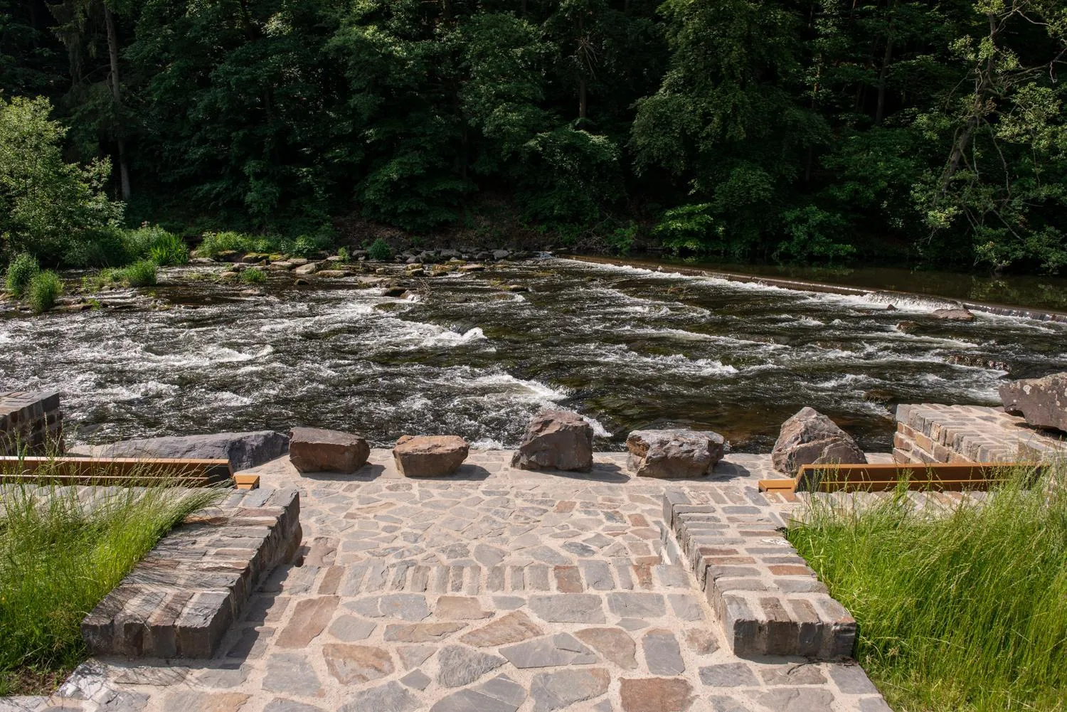 Natural landscape in Hotel Belle Vue