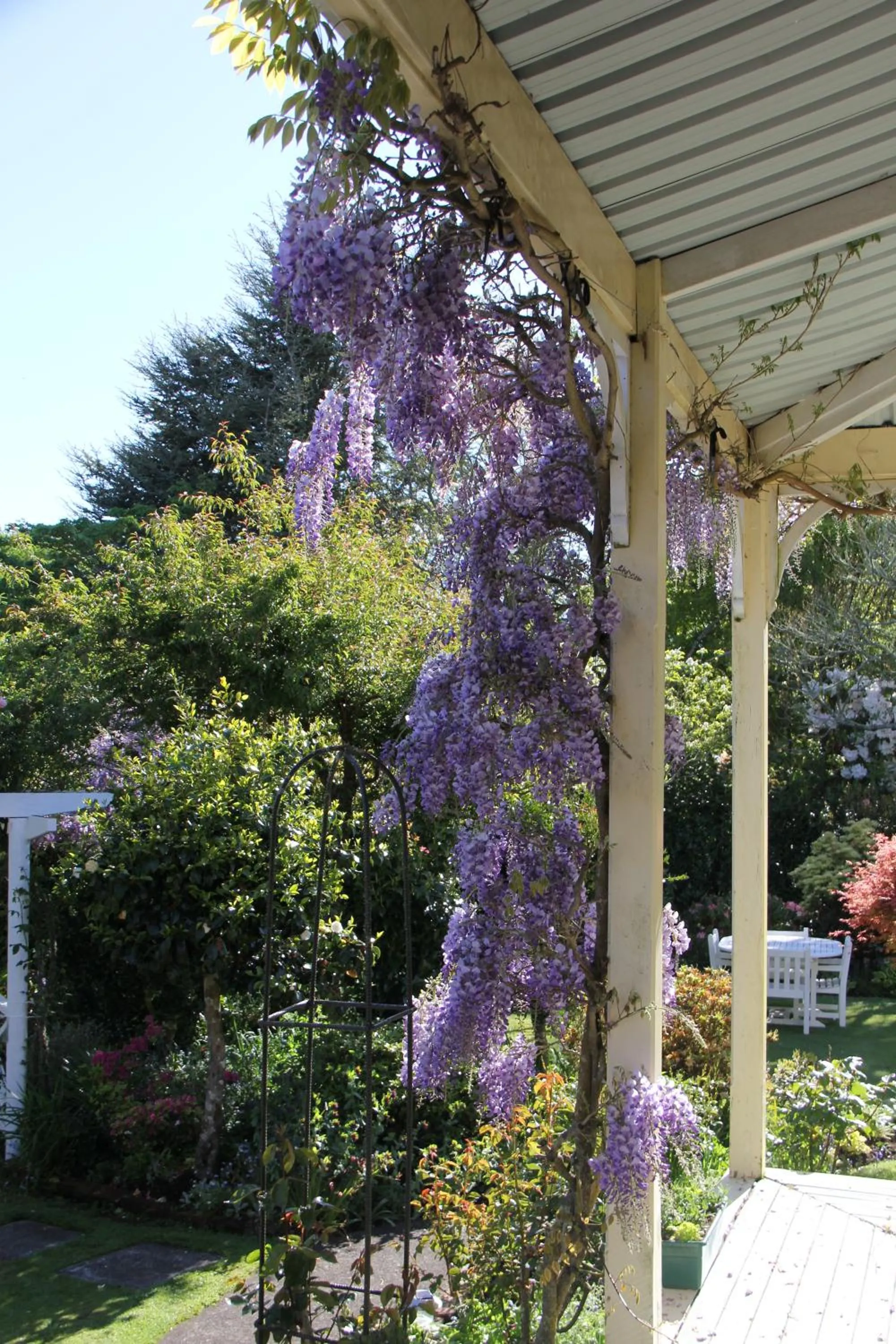 Garden in Regan House