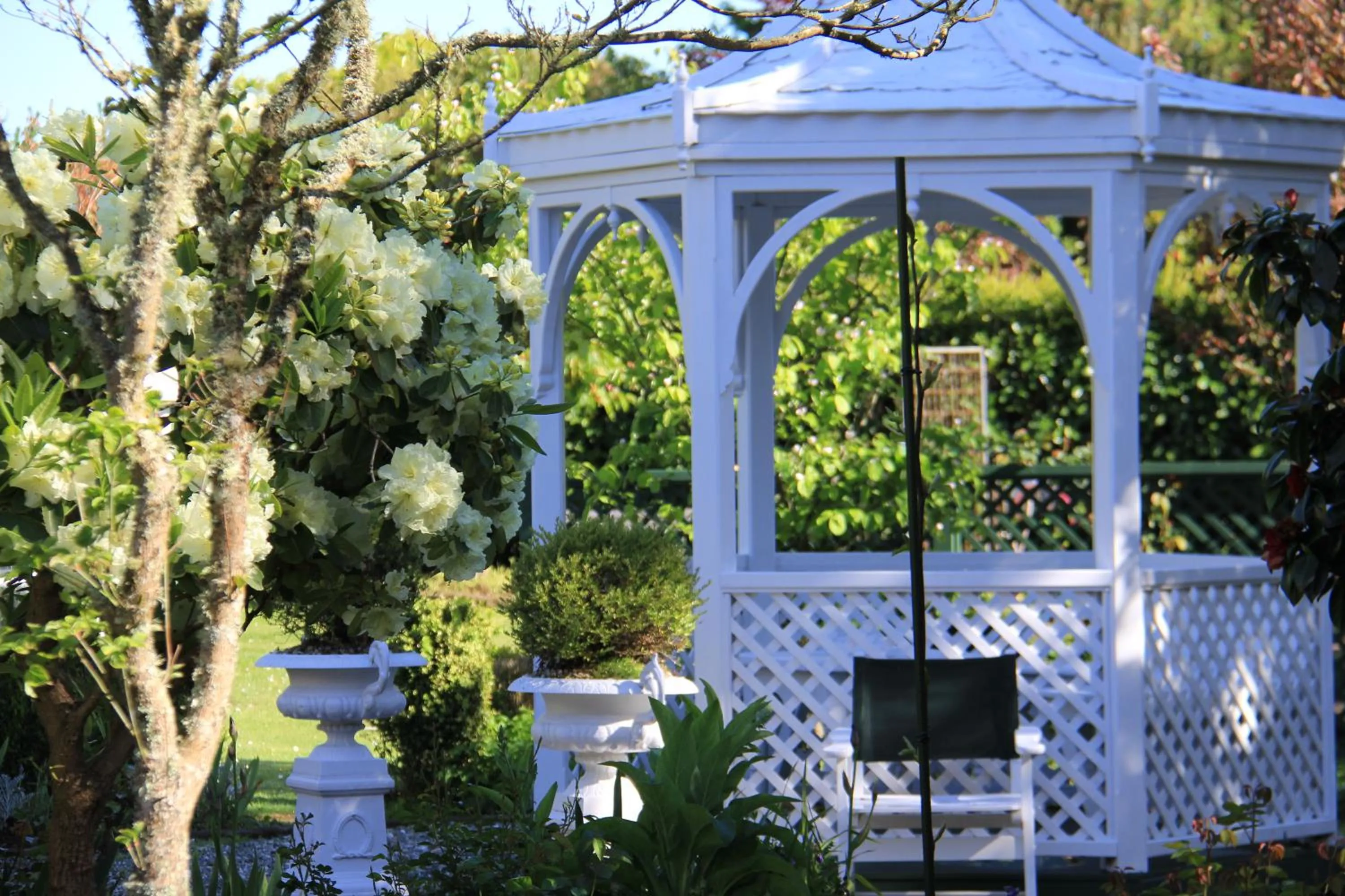 Garden in Regan House