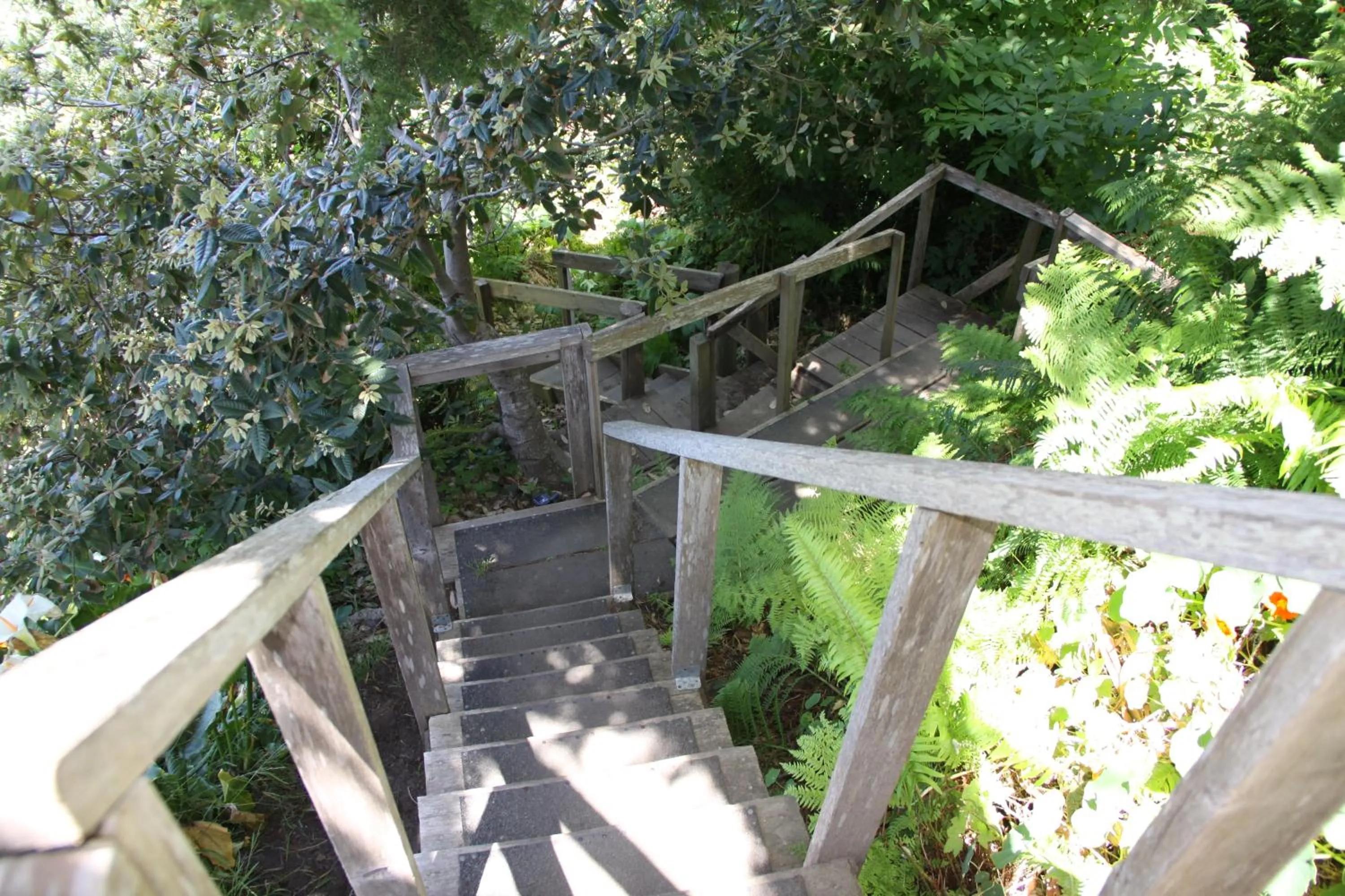 Natural landscape in Elk Cove Inn & Spa