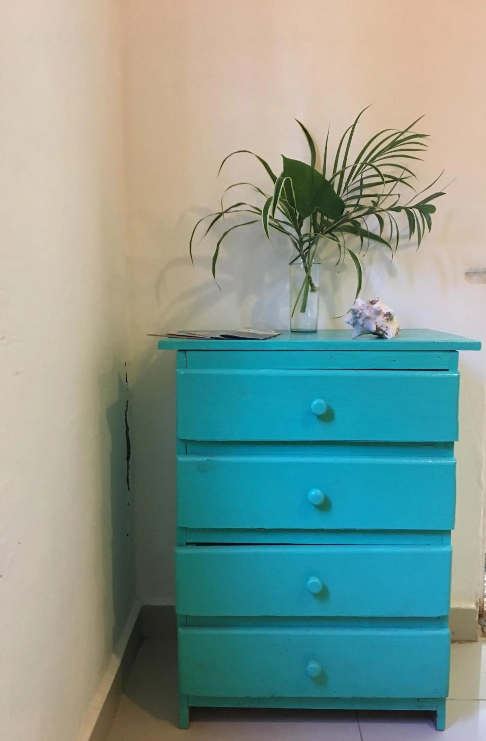 Other in Hostal Cha Cha Cha