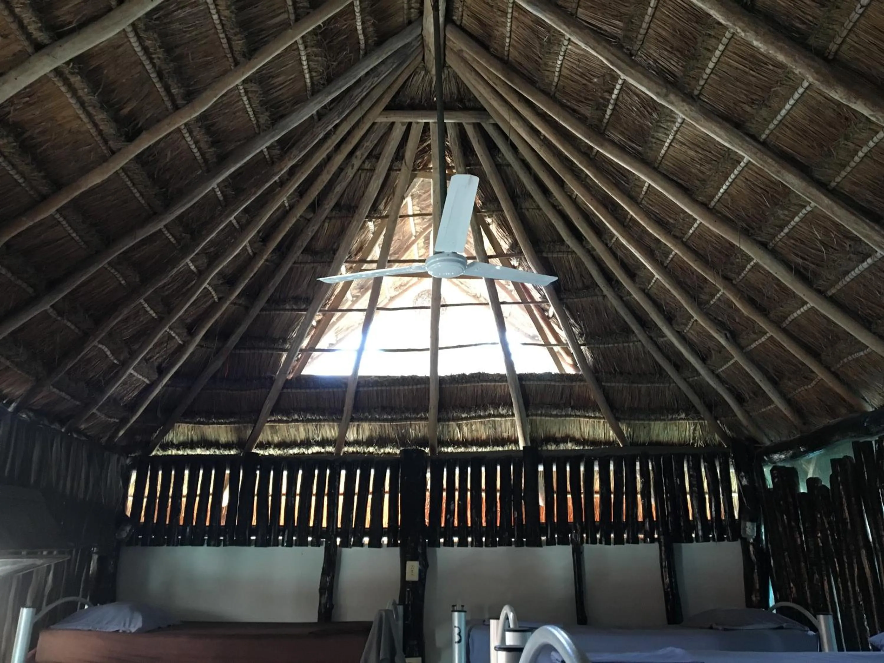 Photo of the whole room in Hostal Cha Cha Cha