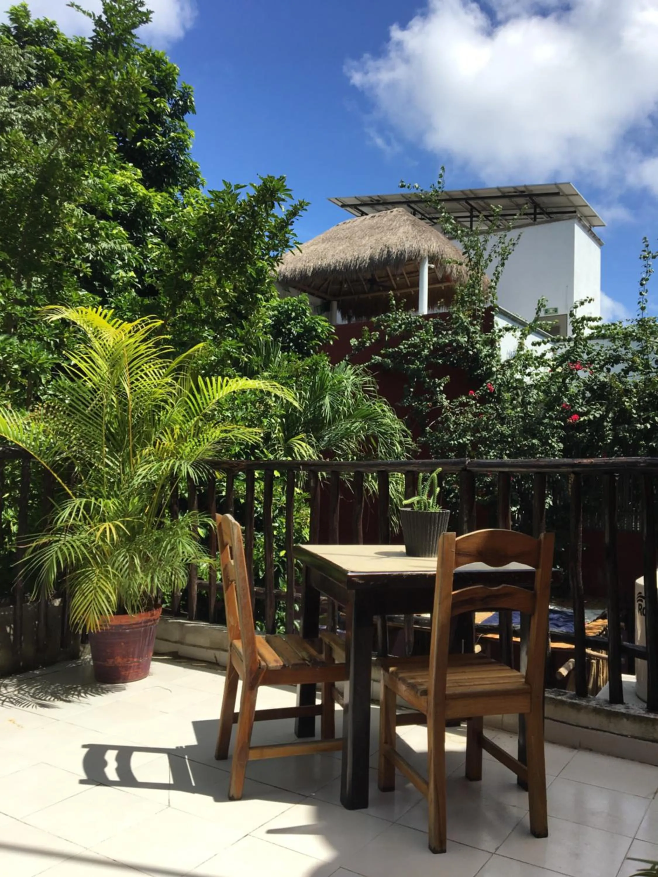 Balcony/Terrace in Hostal Cha Cha Cha