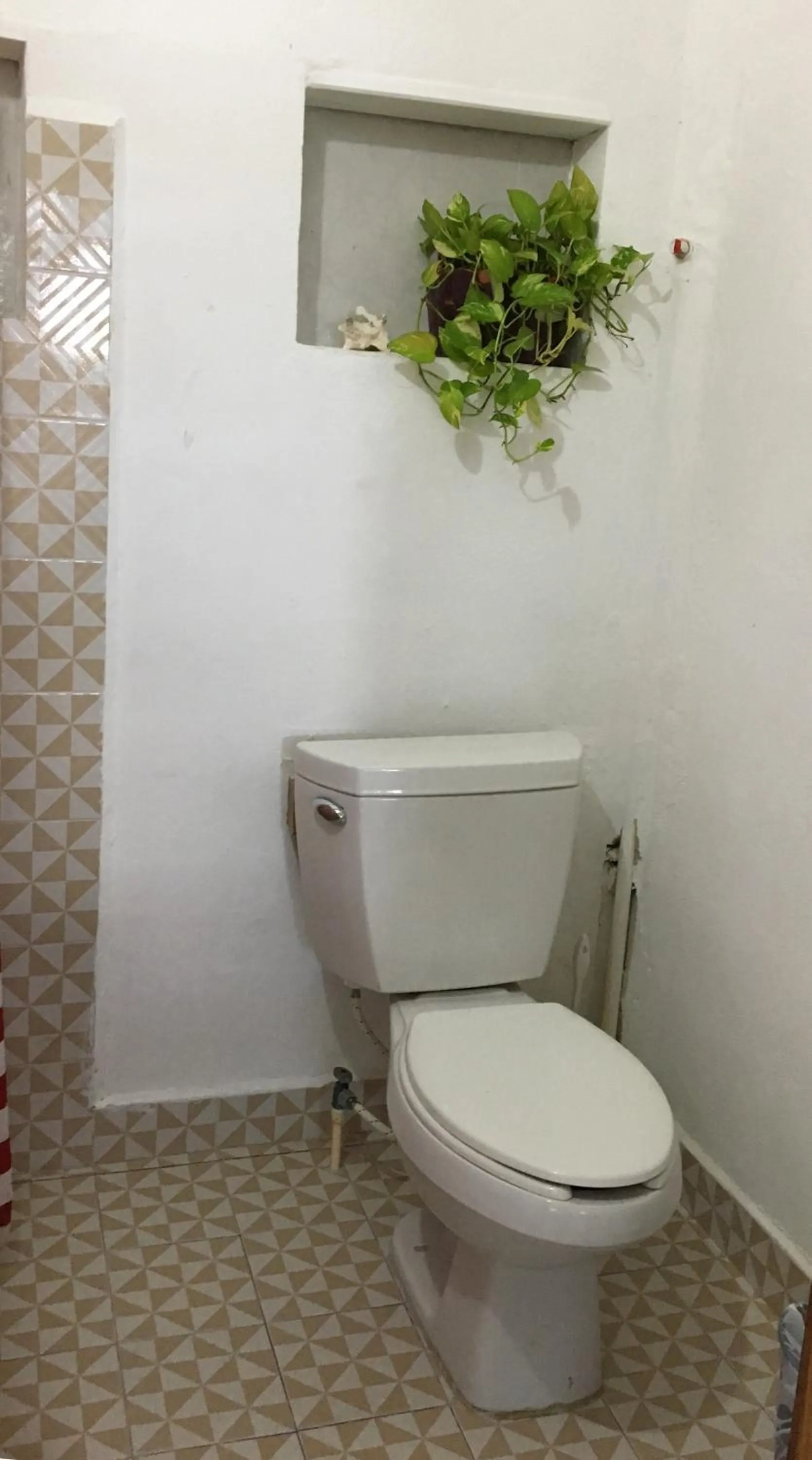 Bathroom in Hostal Cha Cha Cha