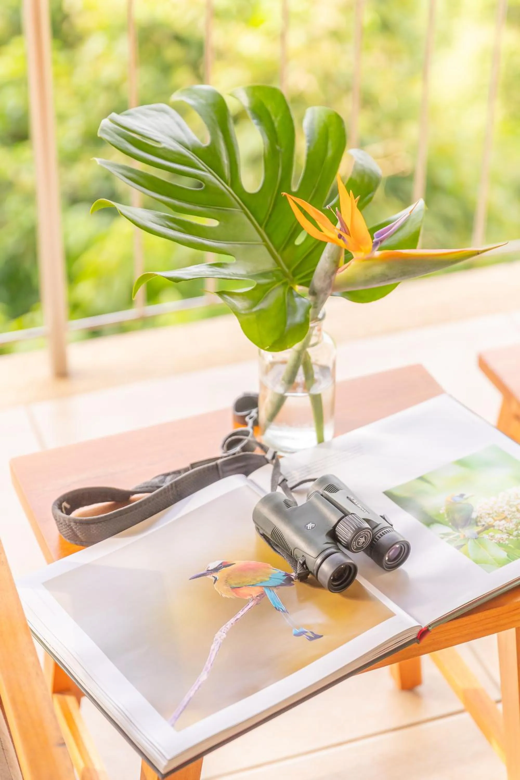 Day in Hotel Boutique Lagarta Lodge