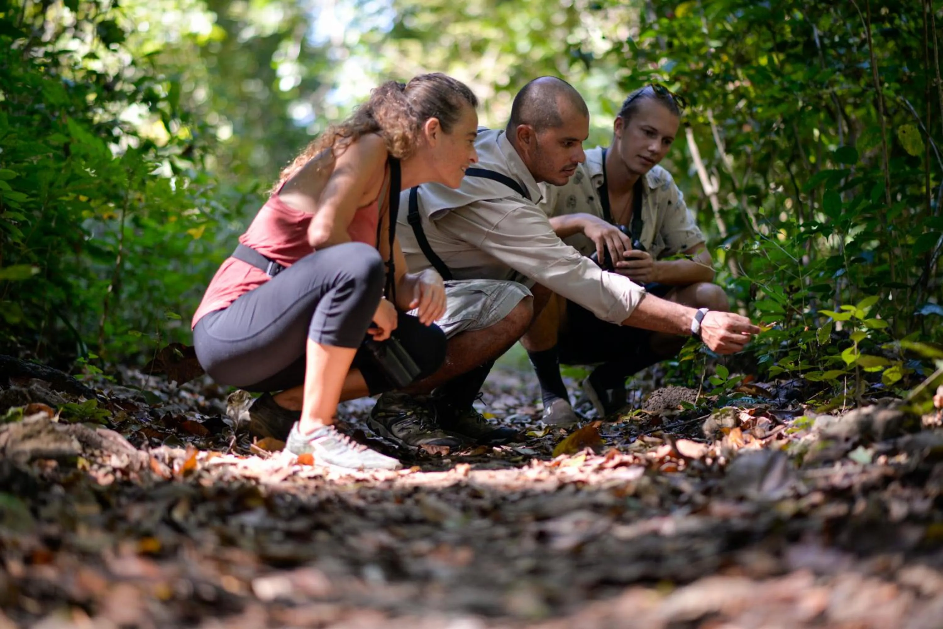 Natural landscape in Hotel Boutique Lagarta Lodge