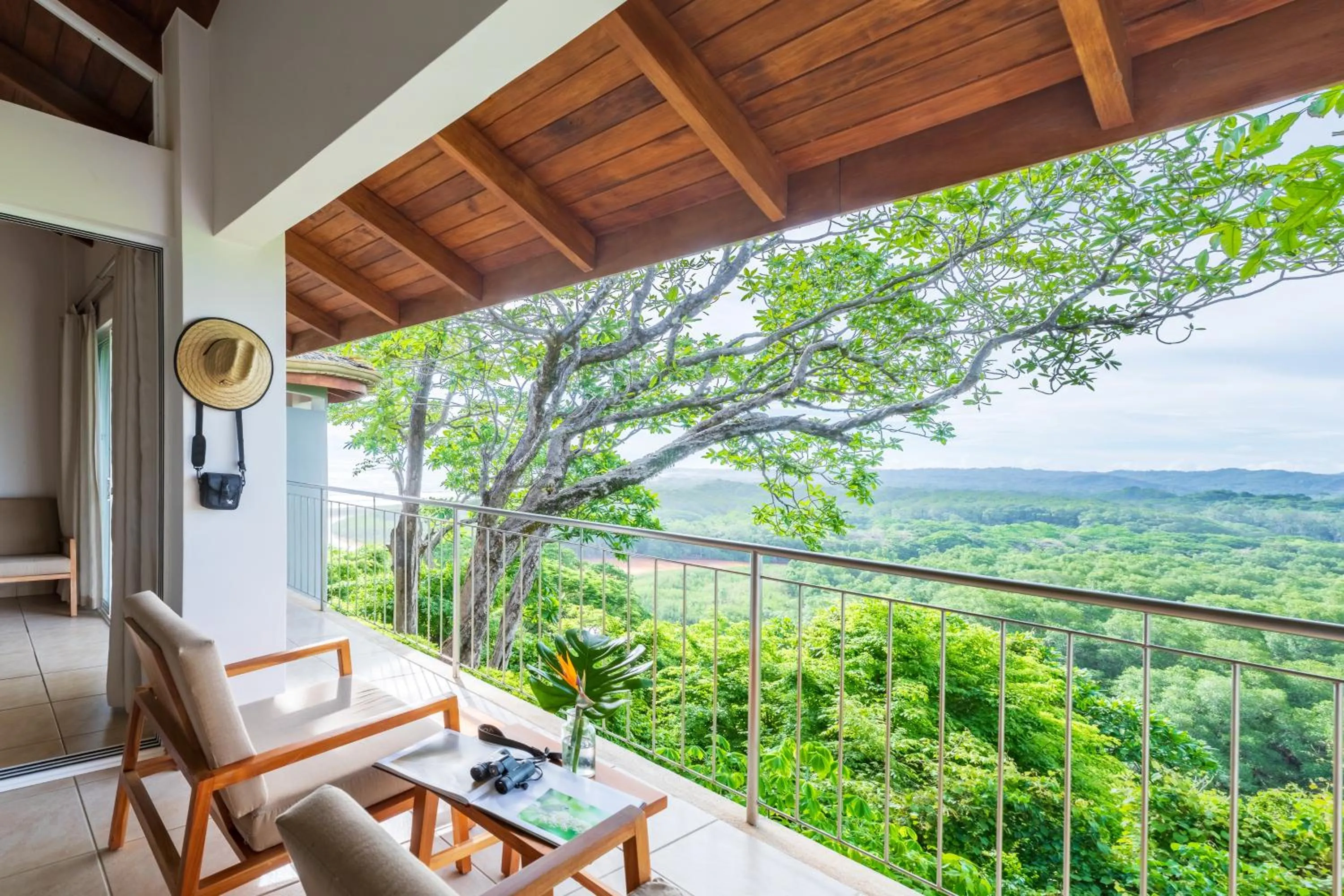 Natural landscape in Hotel Boutique Lagarta Lodge