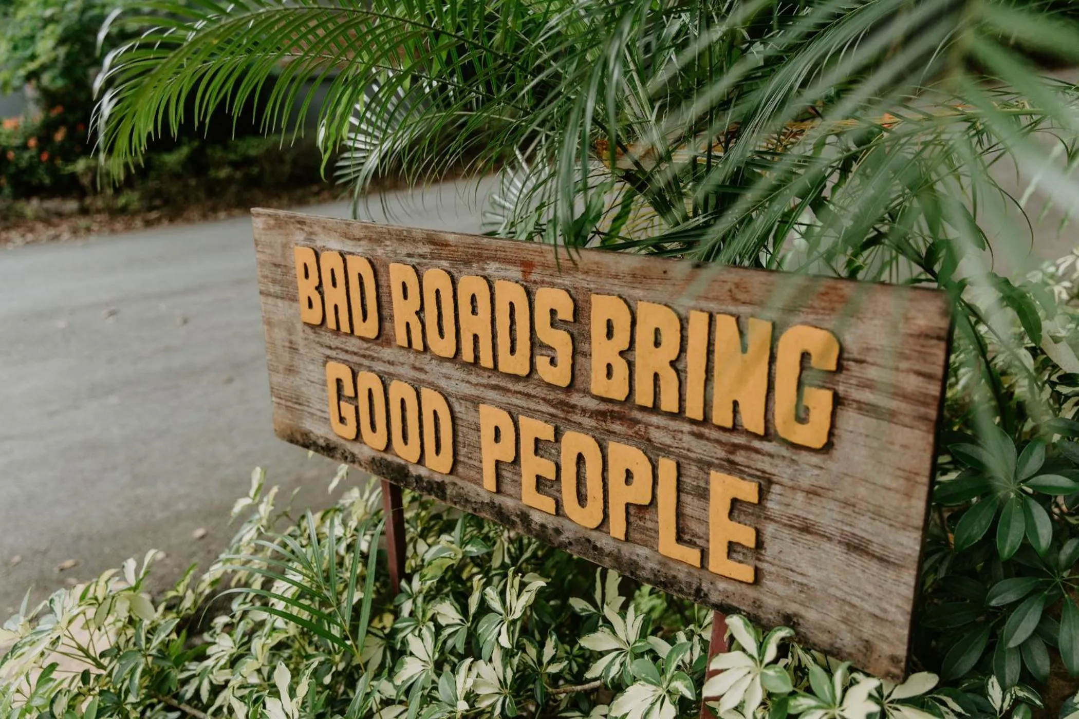 Garden in Hotel Boutique Lagarta Lodge