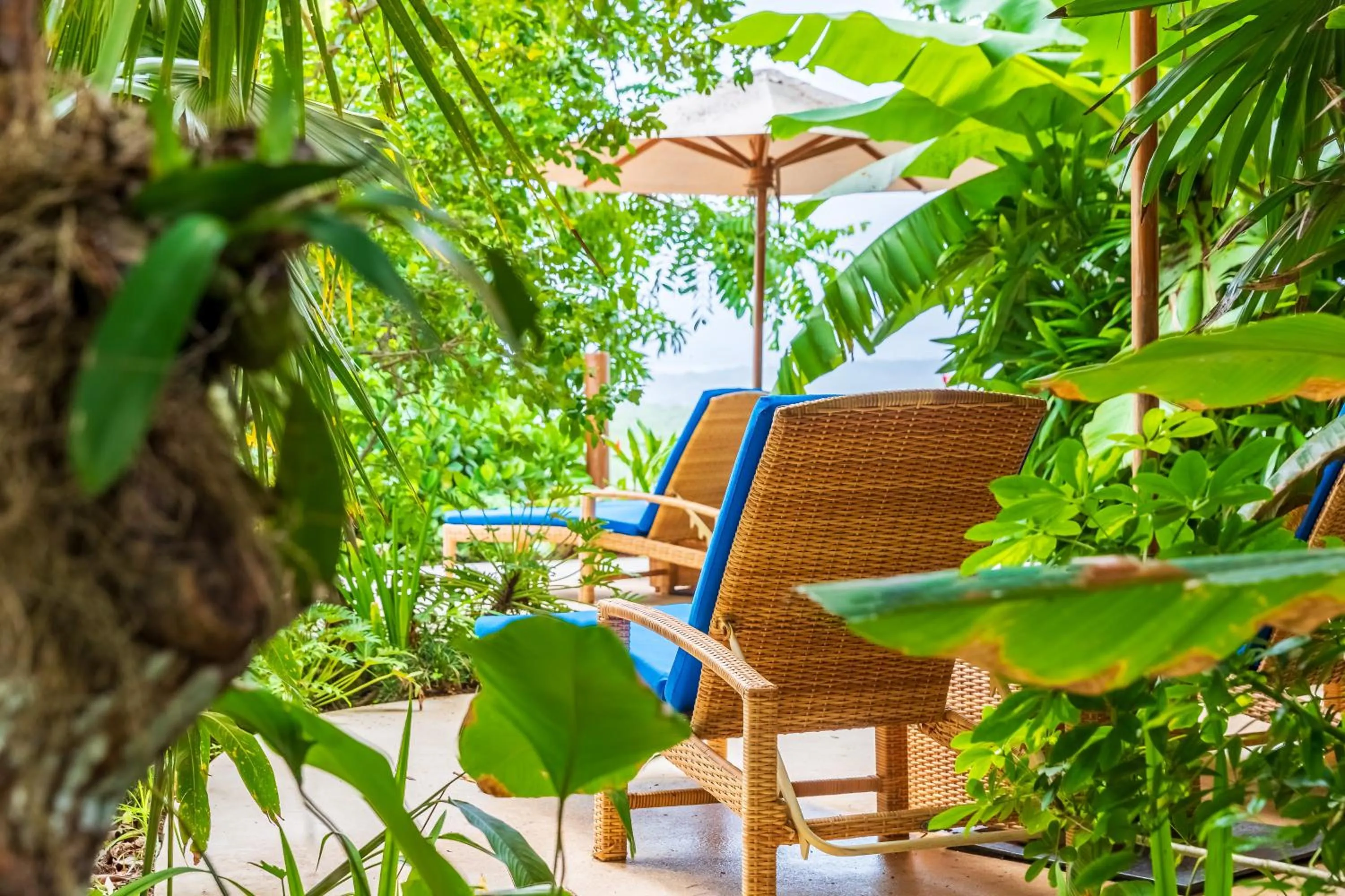 Garden in Hotel Boutique Lagarta Lodge