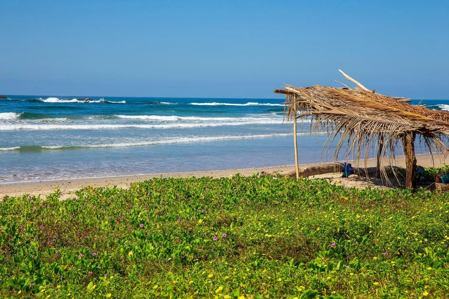 Beach in Hotel Boutique Lagarta Lodge