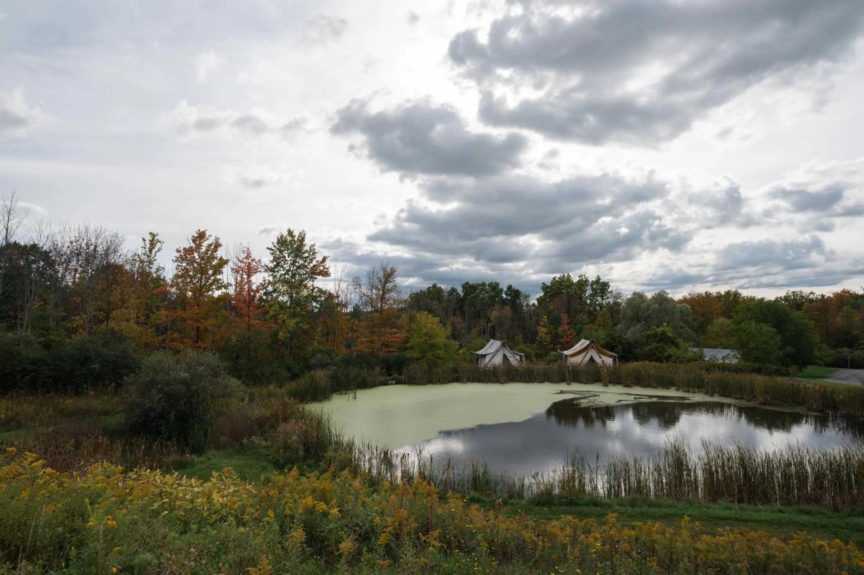 View (from property/room) in La Tourelle Inn & Spa