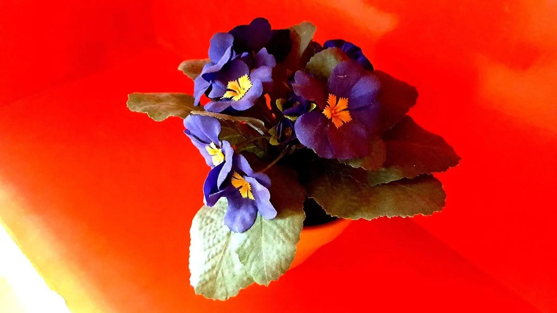 Decorative detail in Palazzo Zimatore Residenza D'Epoca