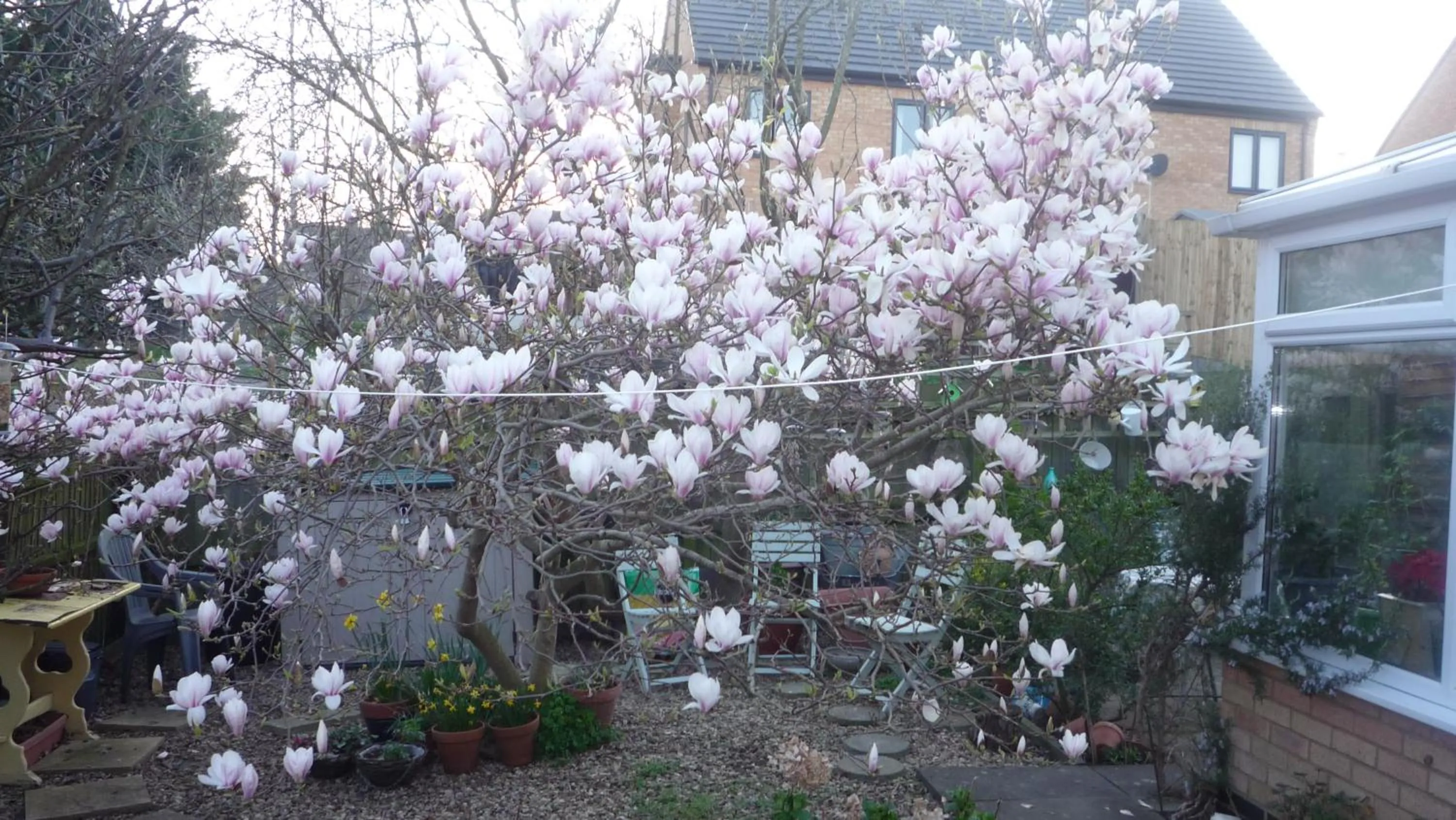 Garden view in The Little Annexe