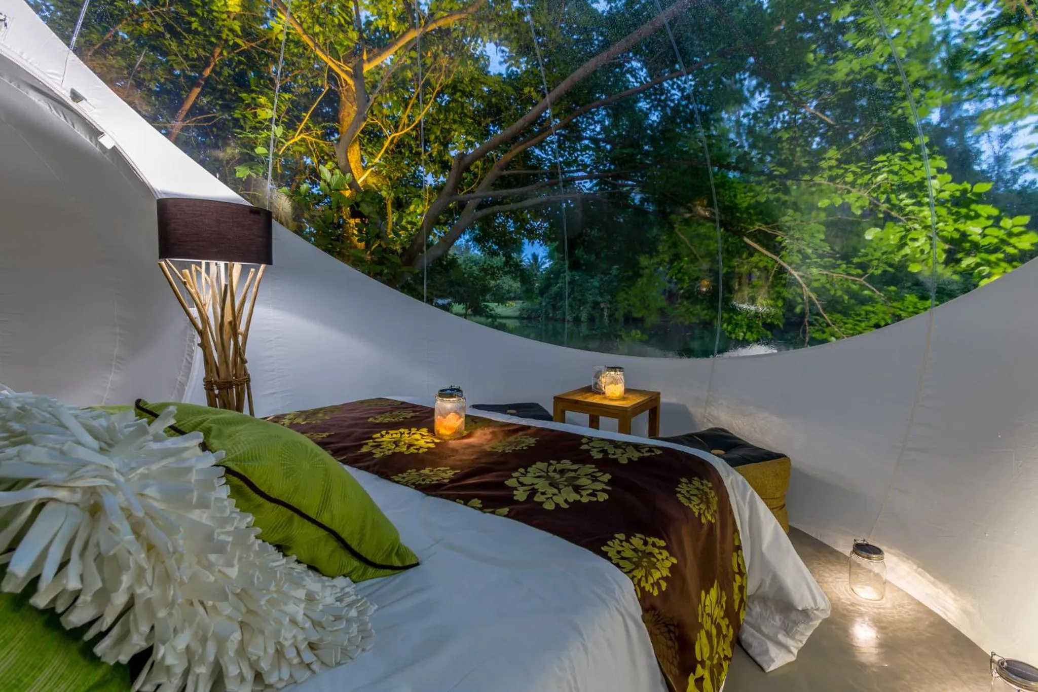 Photo of the whole room in Bubble Lodge Bois Chéri Plantation