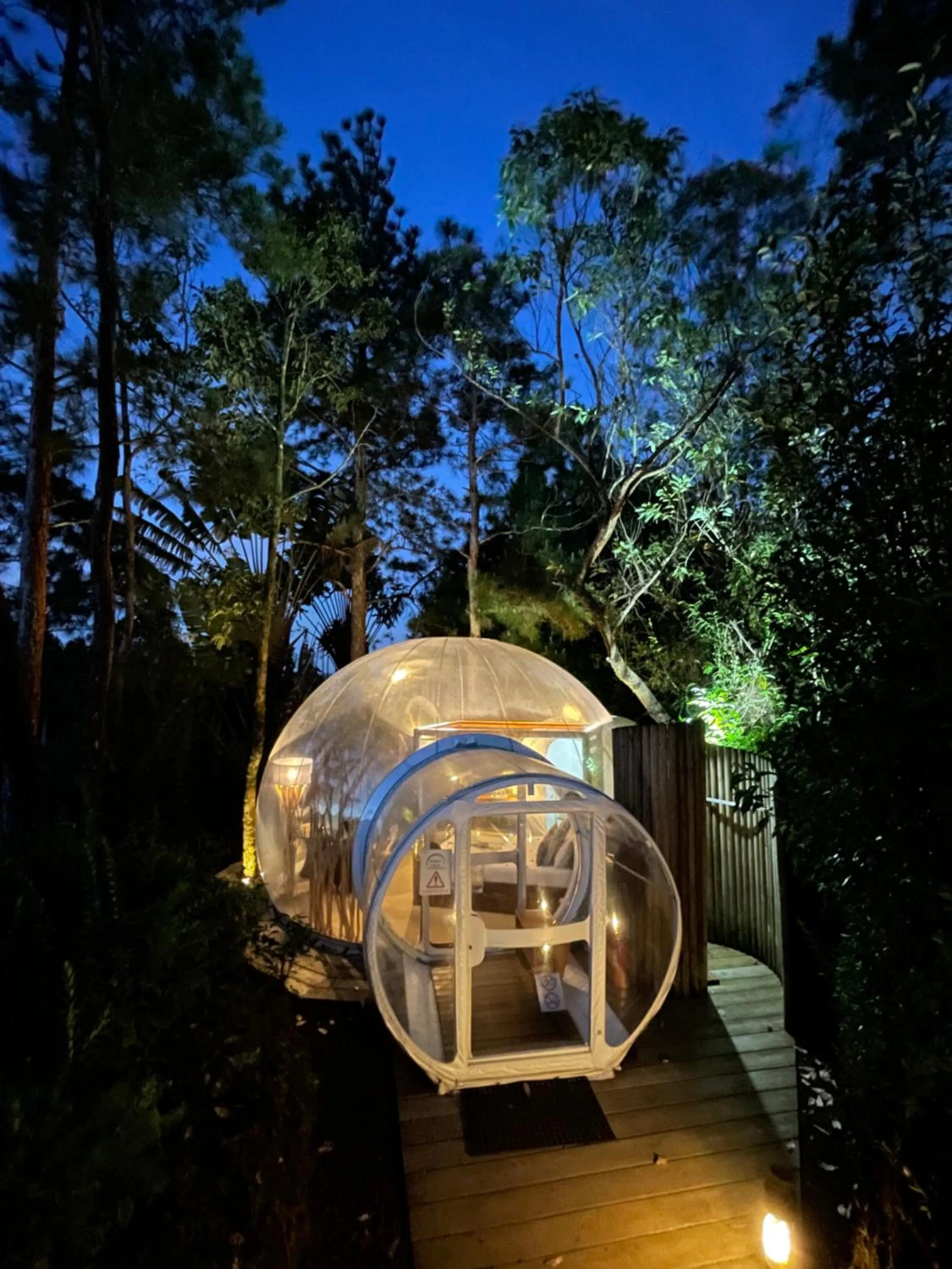 Garden in Bubble Lodge Bois Chéri Plantation
