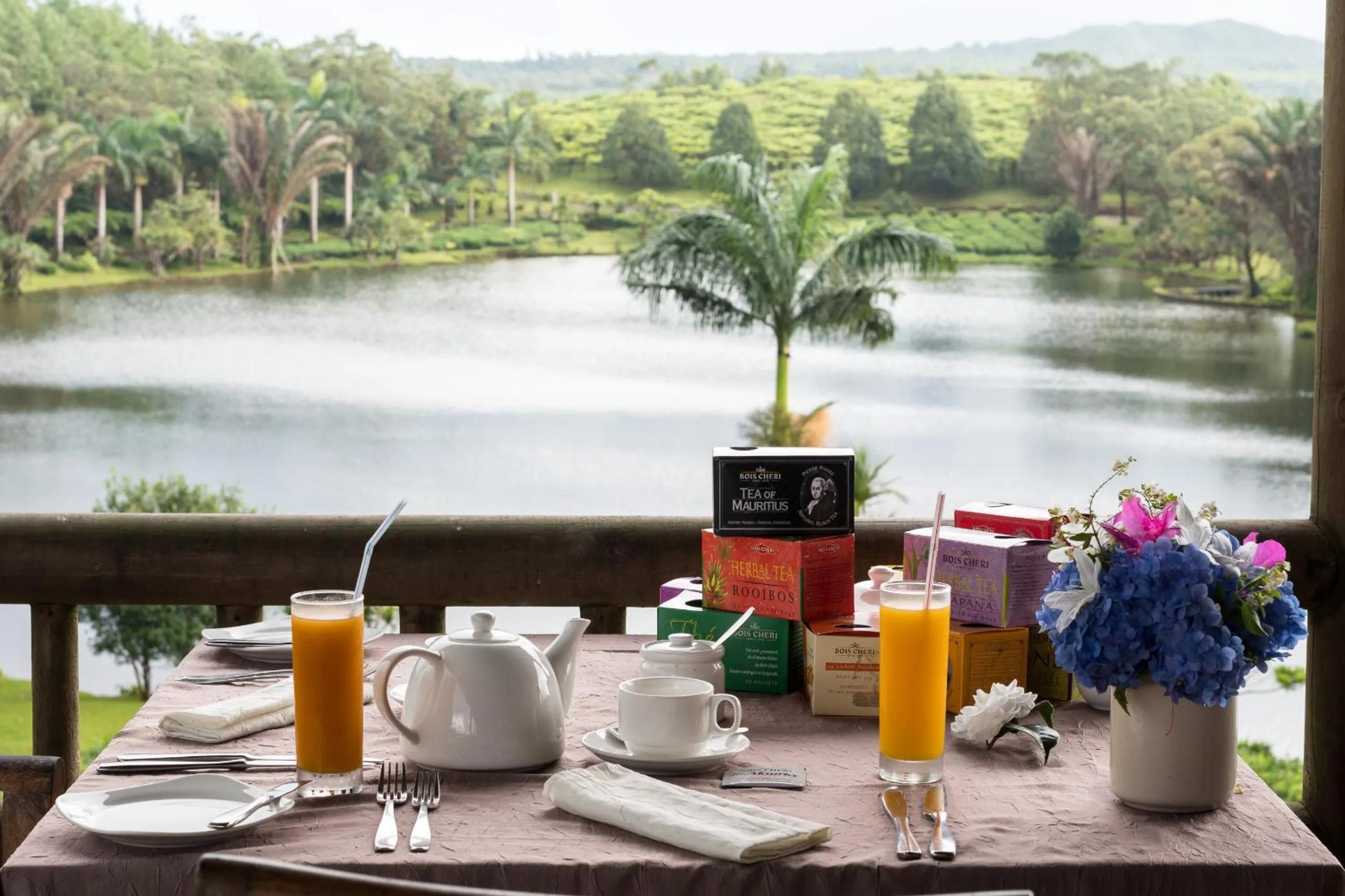 Breakfast in Bubble Lodge Bois Chéri Plantation