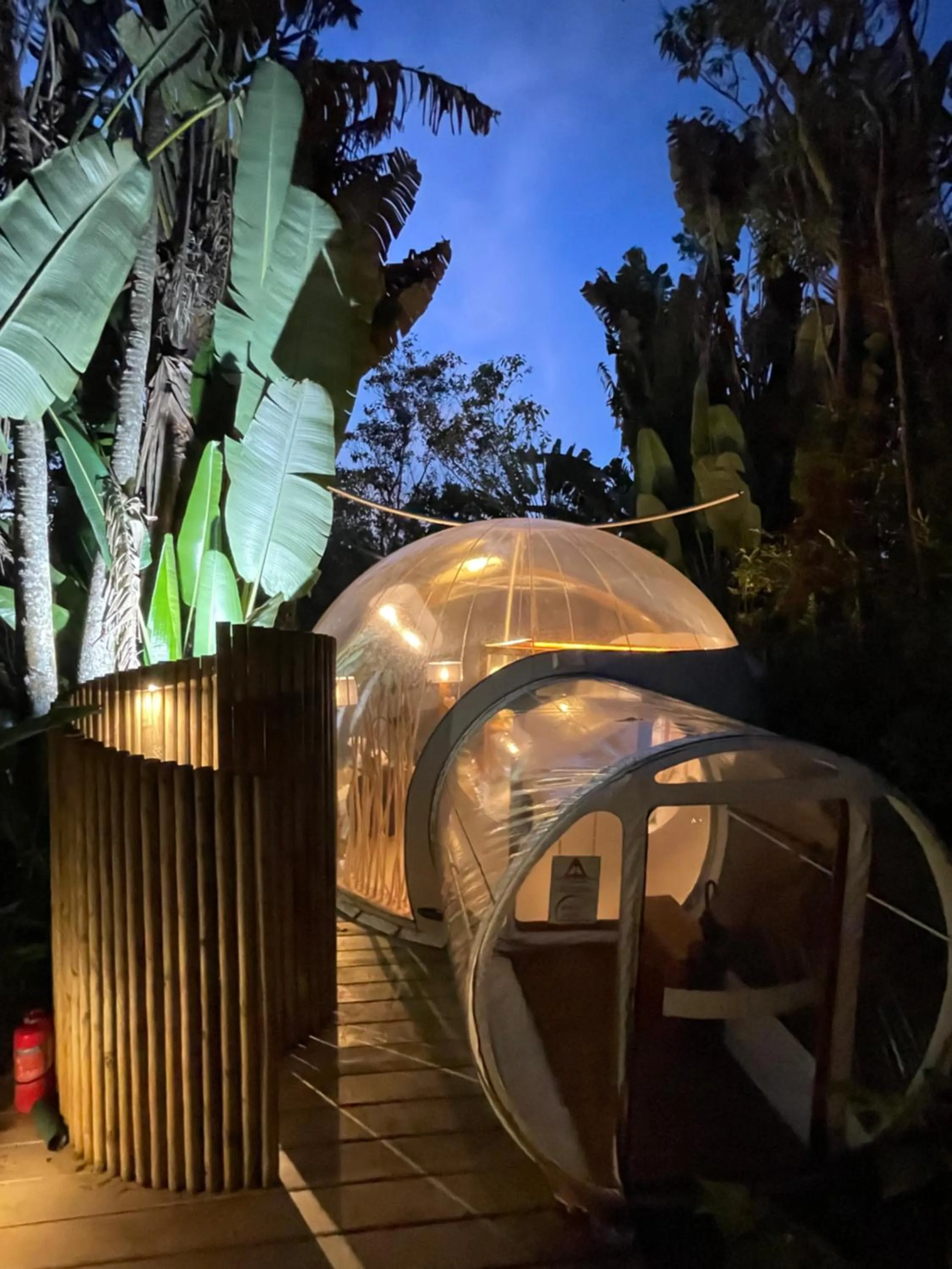 Photo of the whole room in Bubble Lodge Bois Chéri Plantation