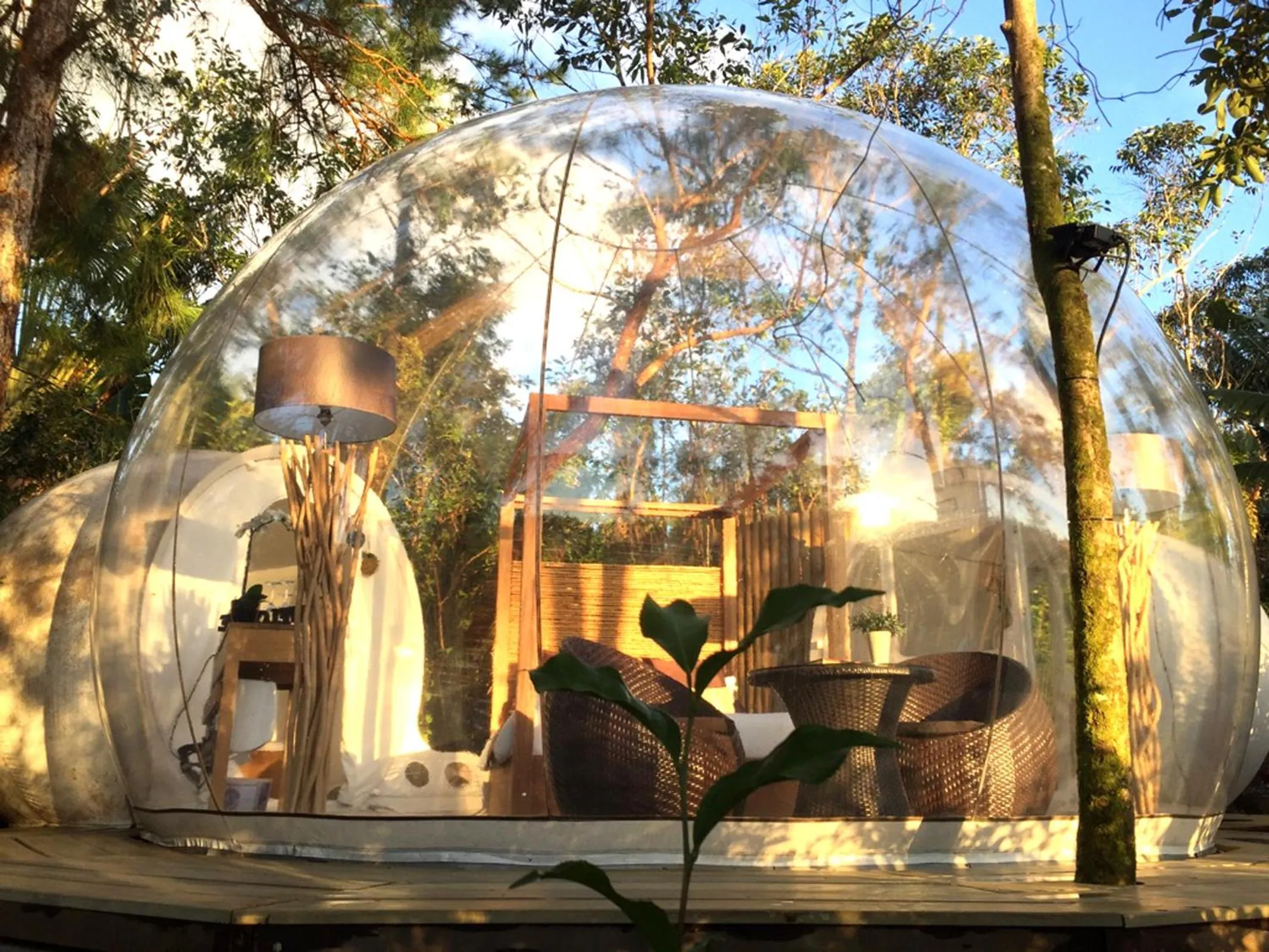 Photo of the whole room in Bubble Lodge Bois Chéri Plantation