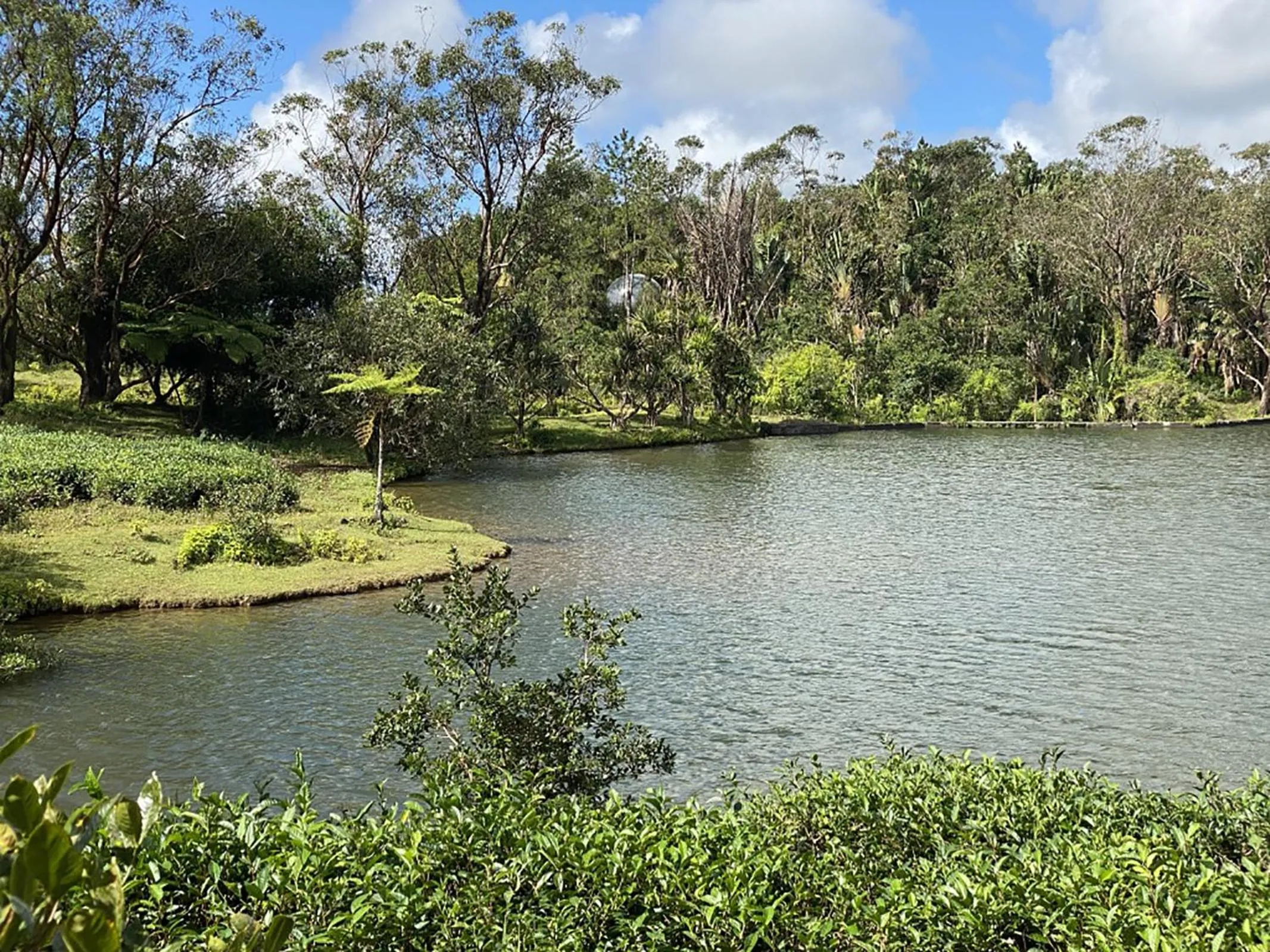 Natural landscape in Bubble Lodge Bois Chéri Plantation