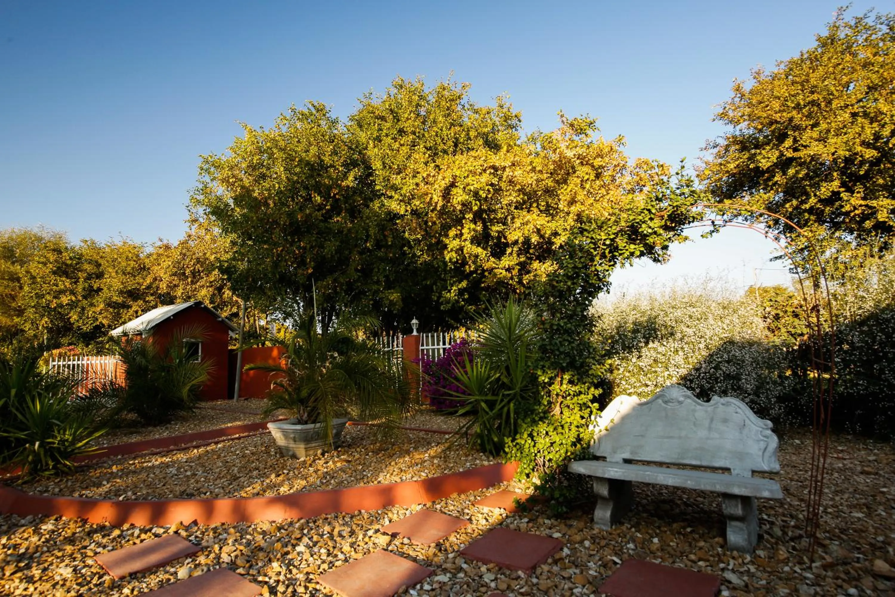 Garden in Mokoro Lodge