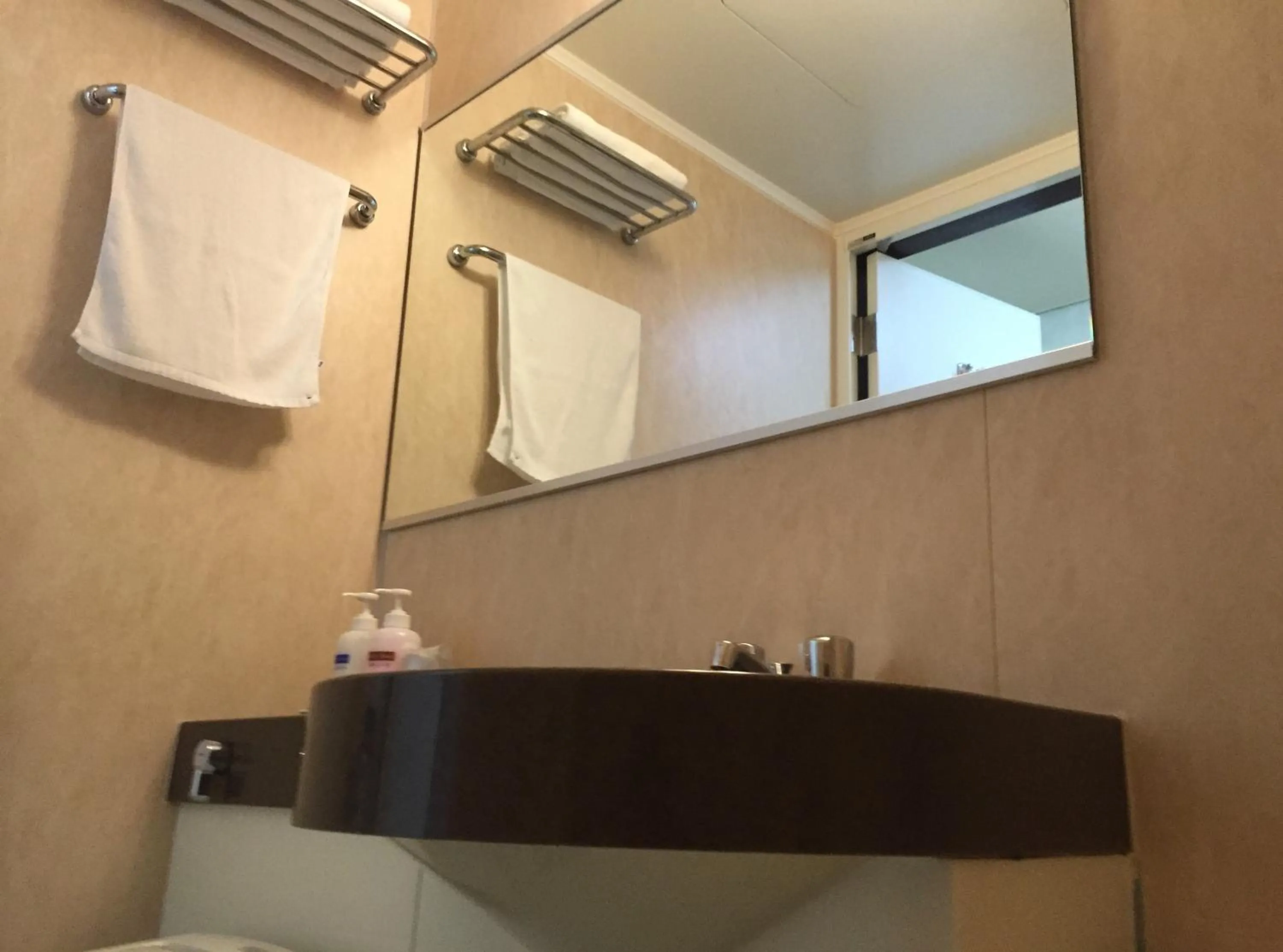 Bathroom in Shinseto Station Hotel