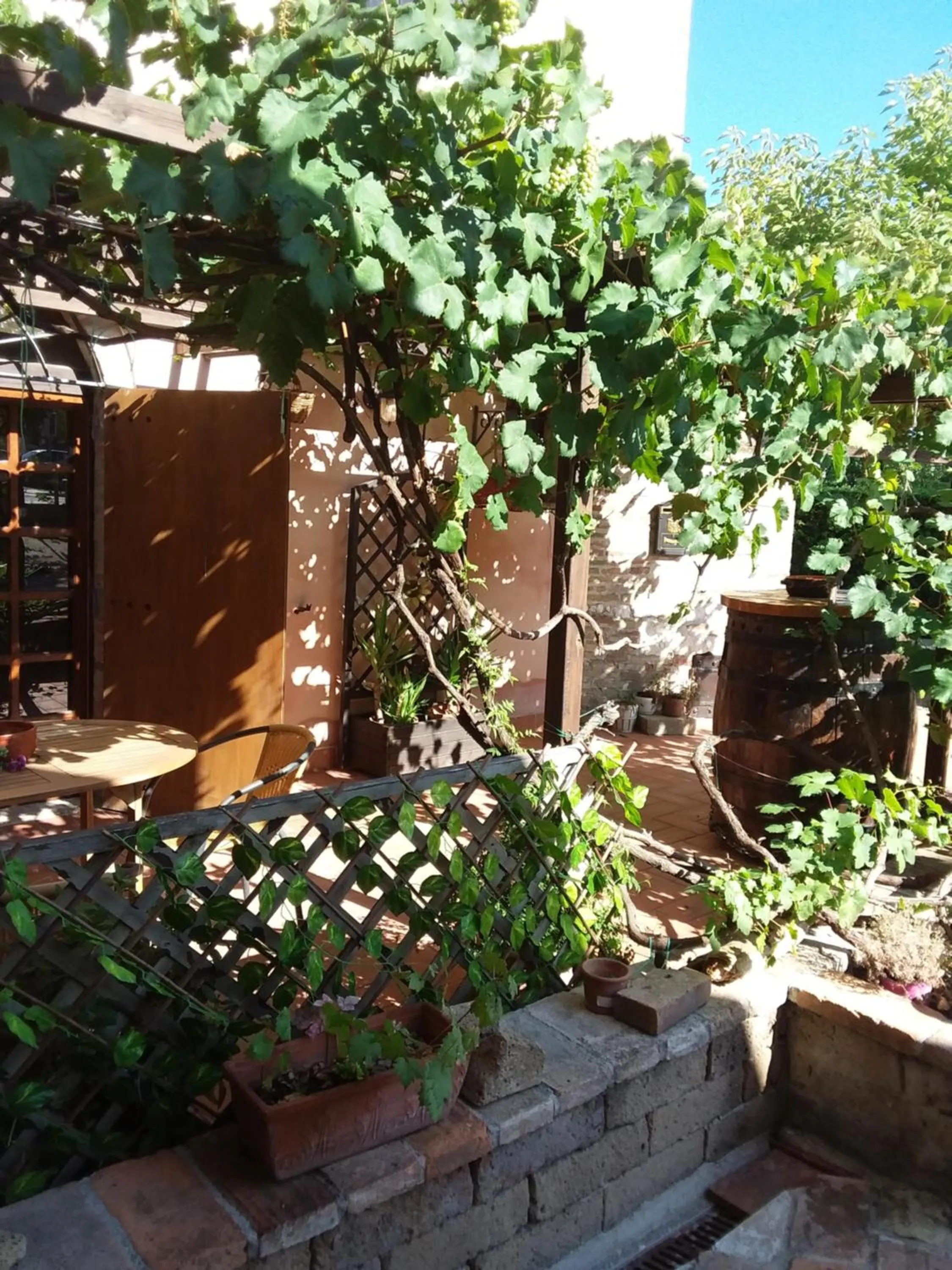 Garden in Acquamarina B&B Casa vacanze