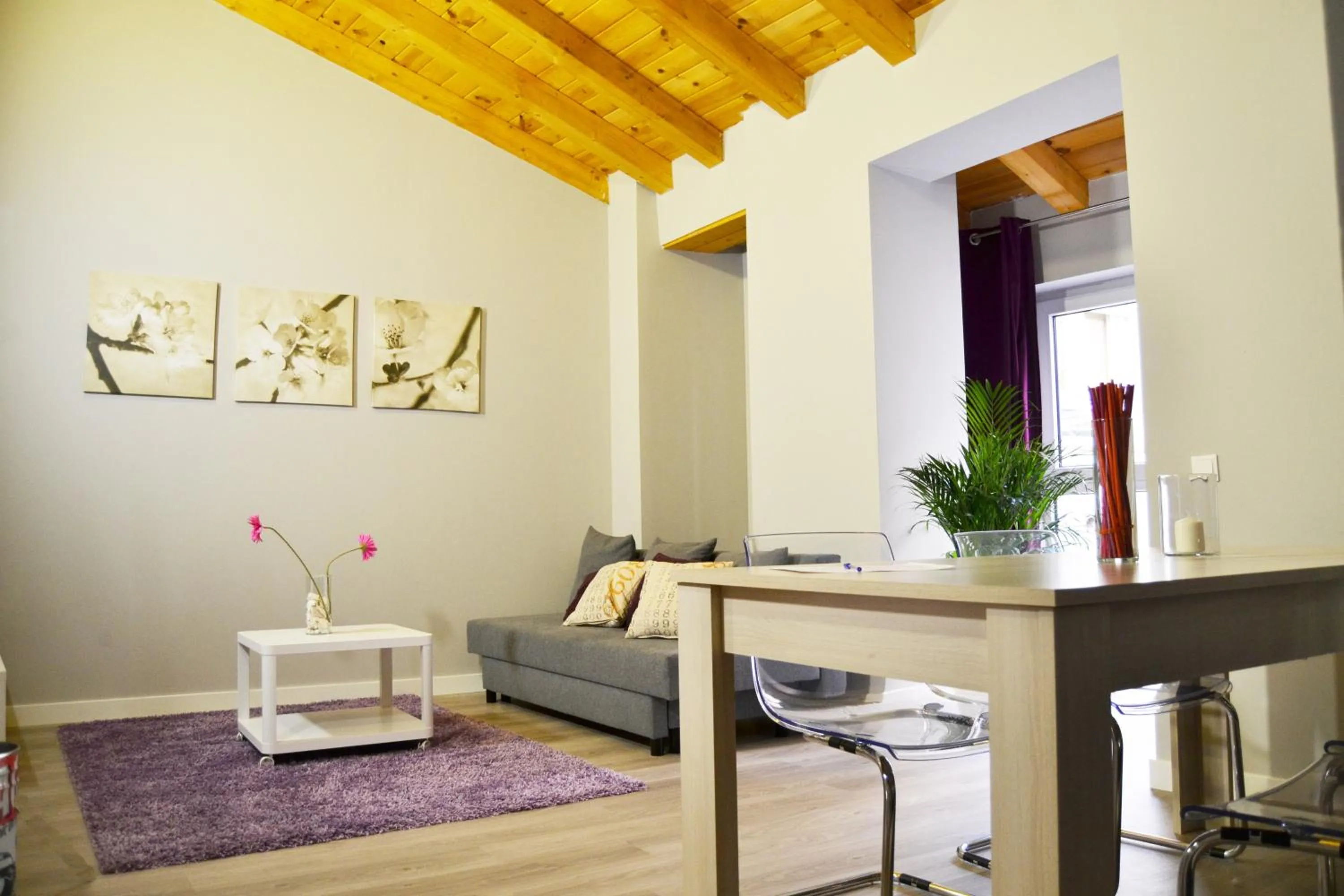 Day in Apartamentos GO - Leopoldo Cano Center