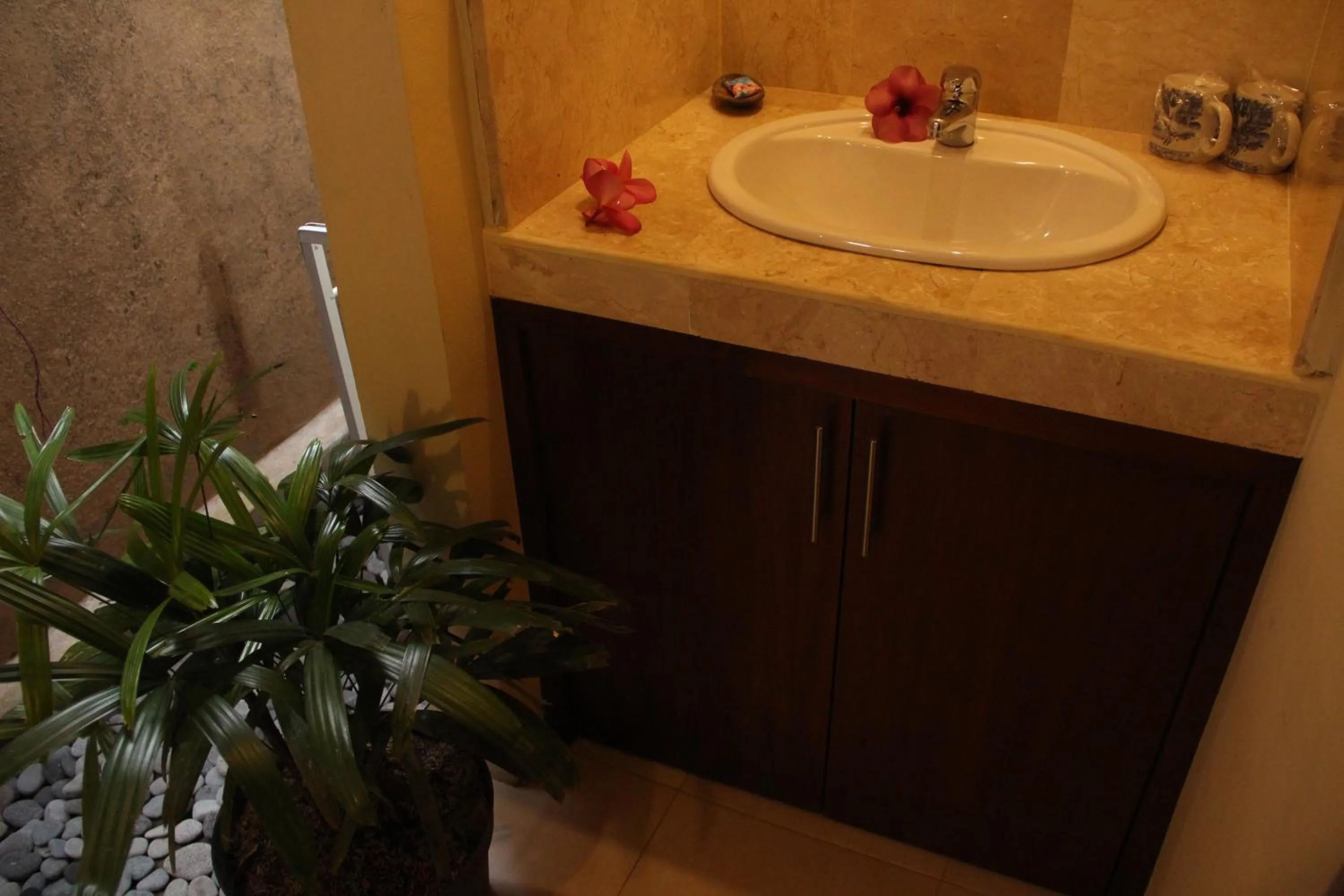 Other in Ary House Ubud