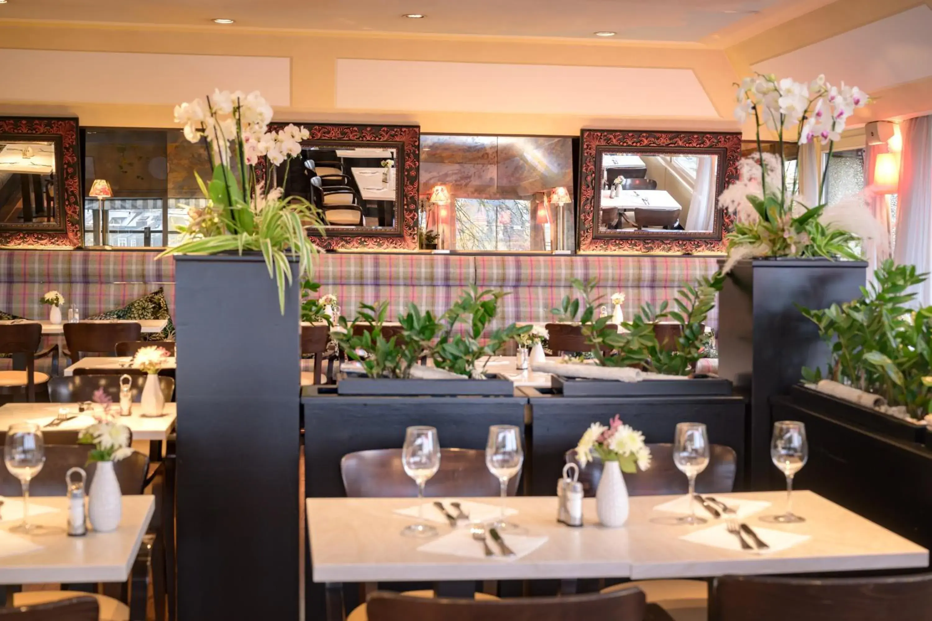 Restaurant/places to eat in Hotel Parc Belle-Vue Restaurant/places to eat in Hotel Parc Belle-Vue