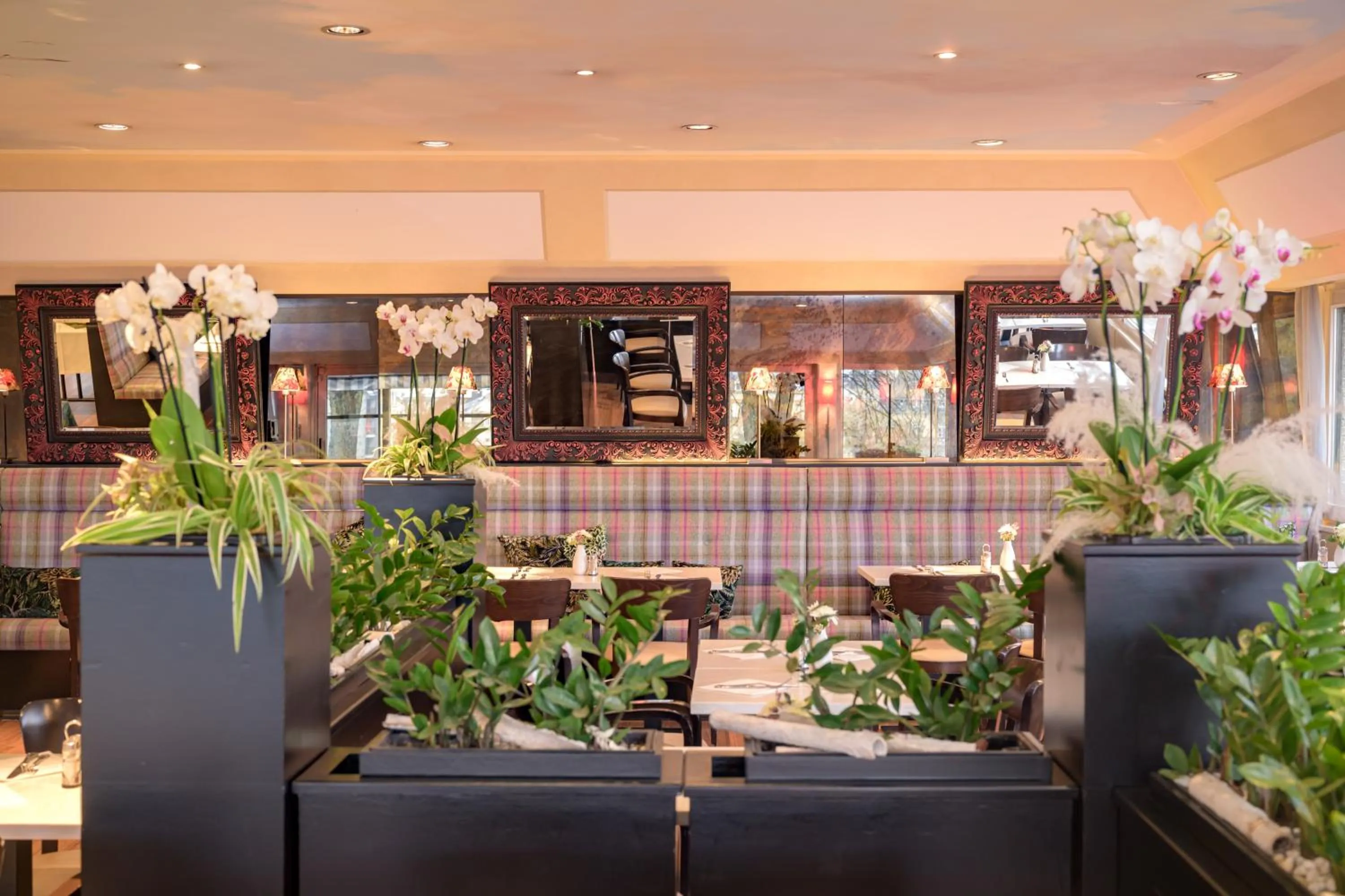 Restaurant/places to eat in Hotel Parc Belle-Vue