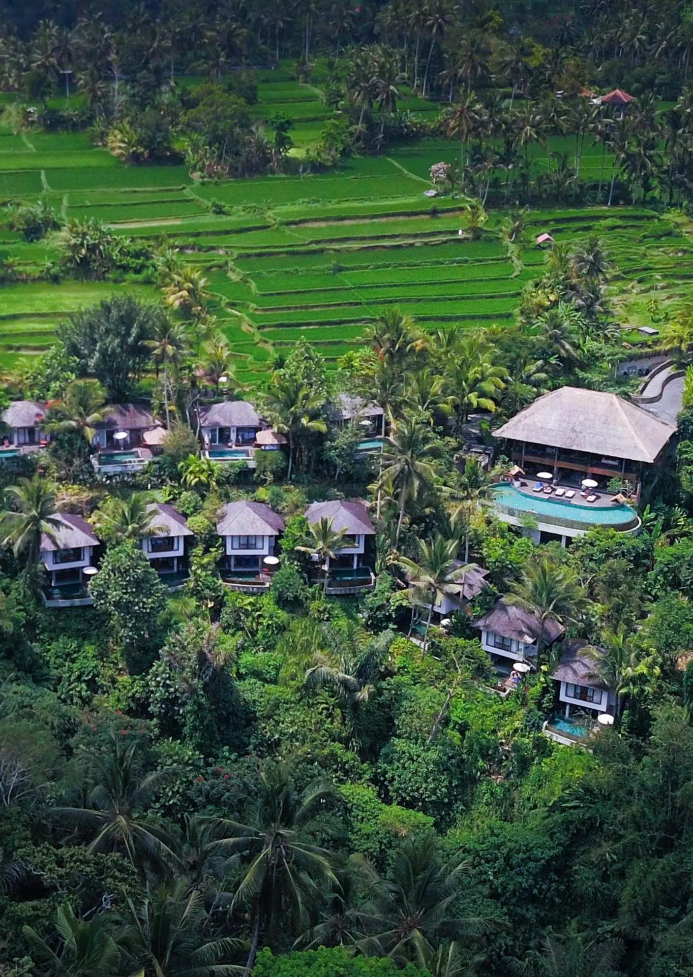 Natural landscape in Natya Resort Ubud