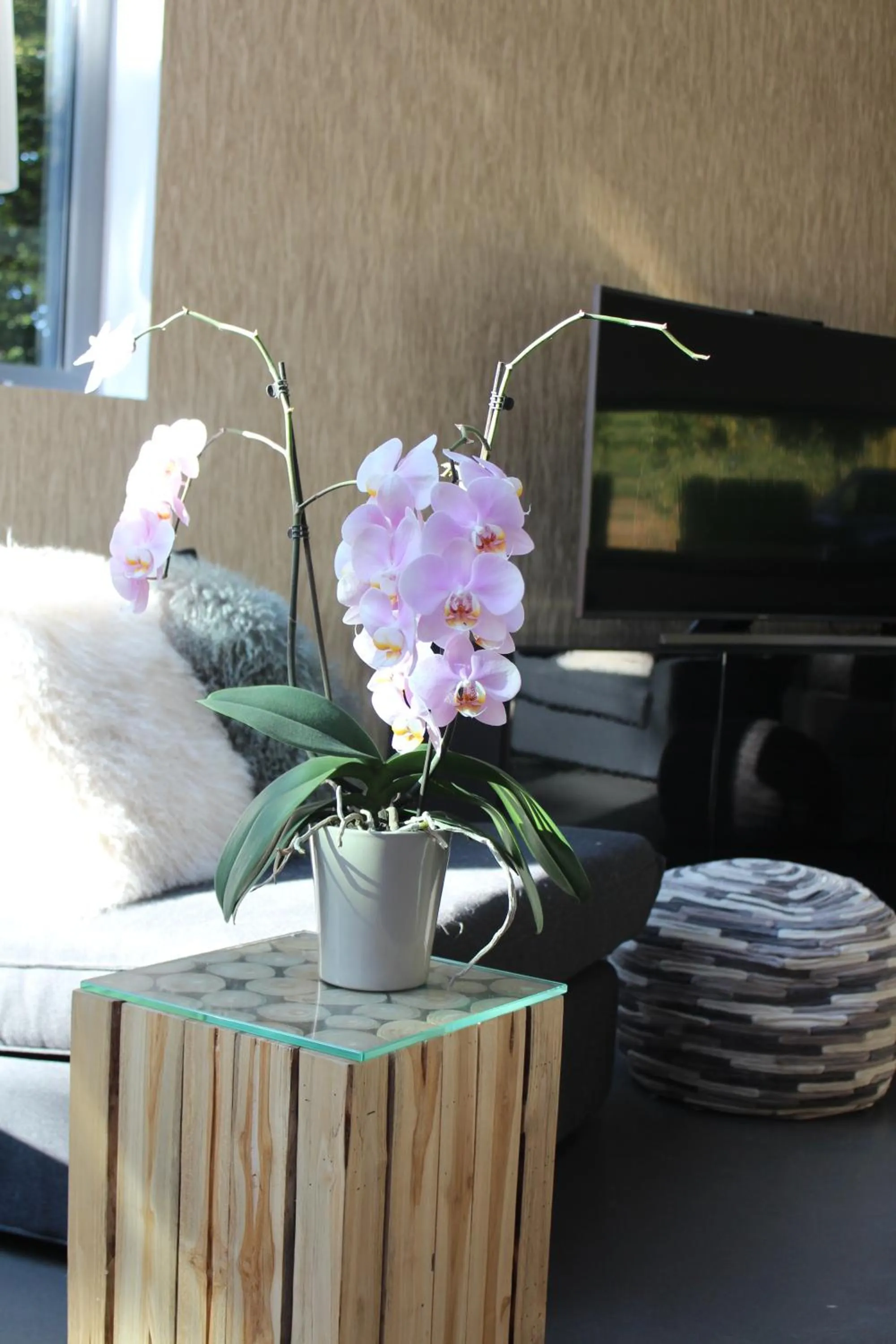 Property building in Table et chambre particulière