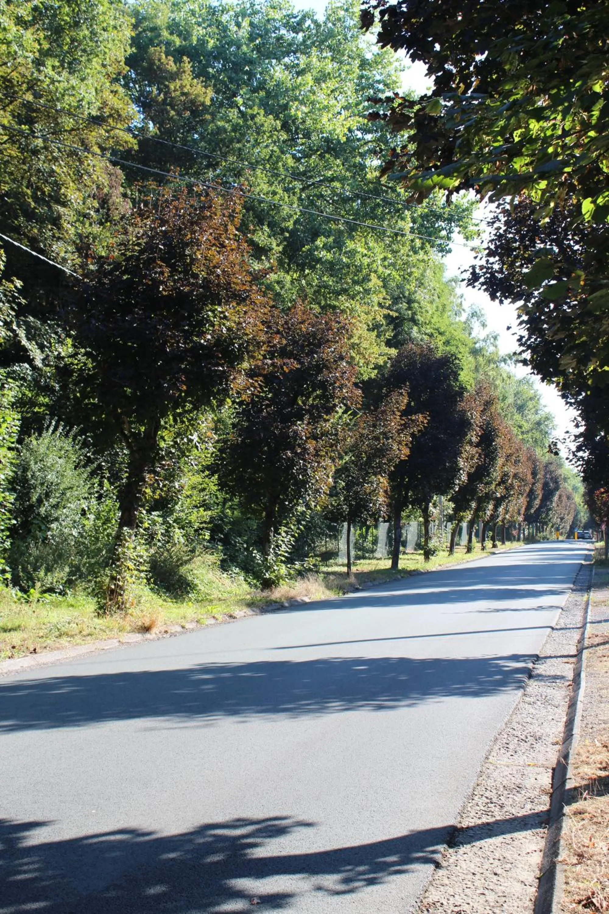Property building in Table et chambre particulière