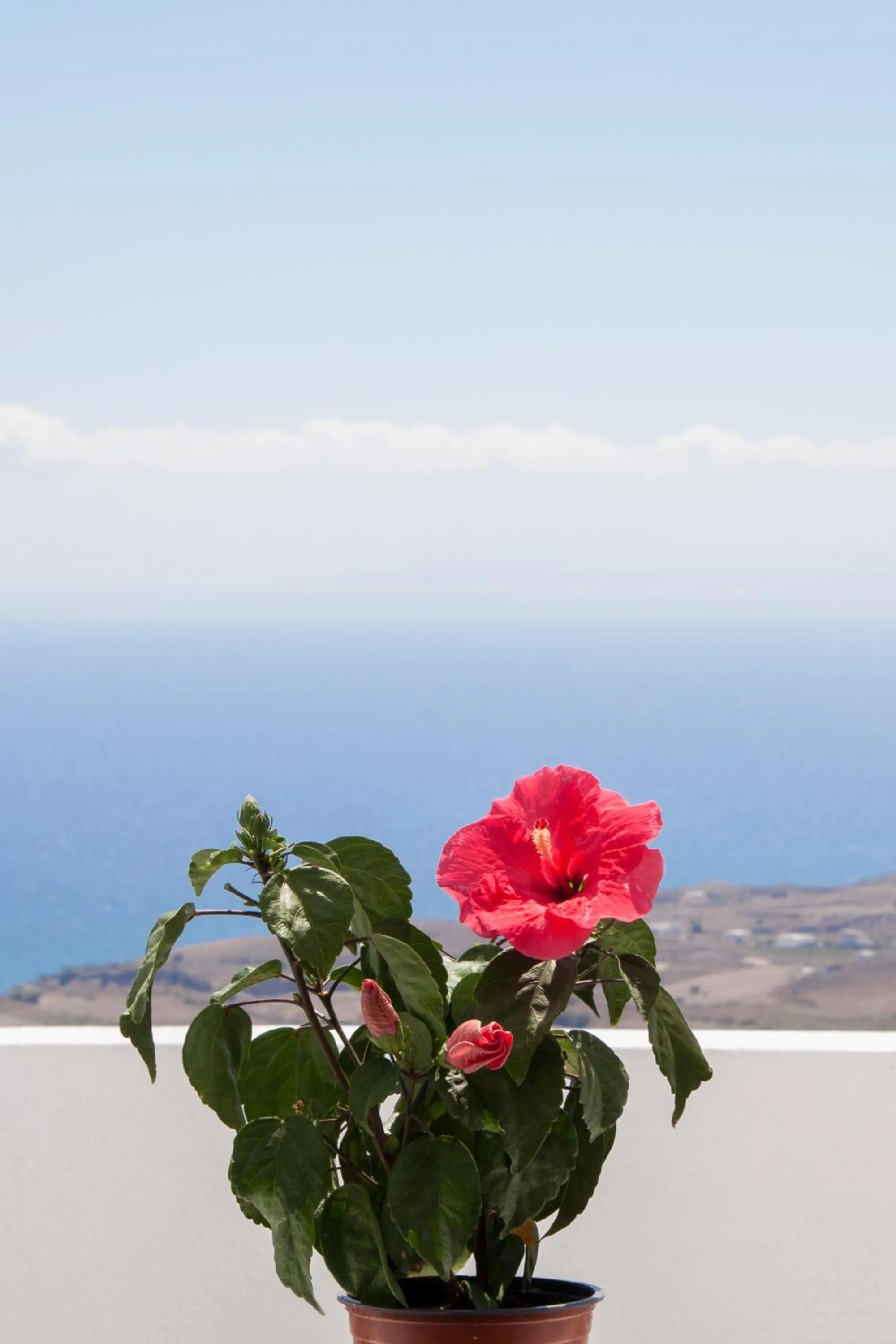 Day in Luna Rossa Santorini
